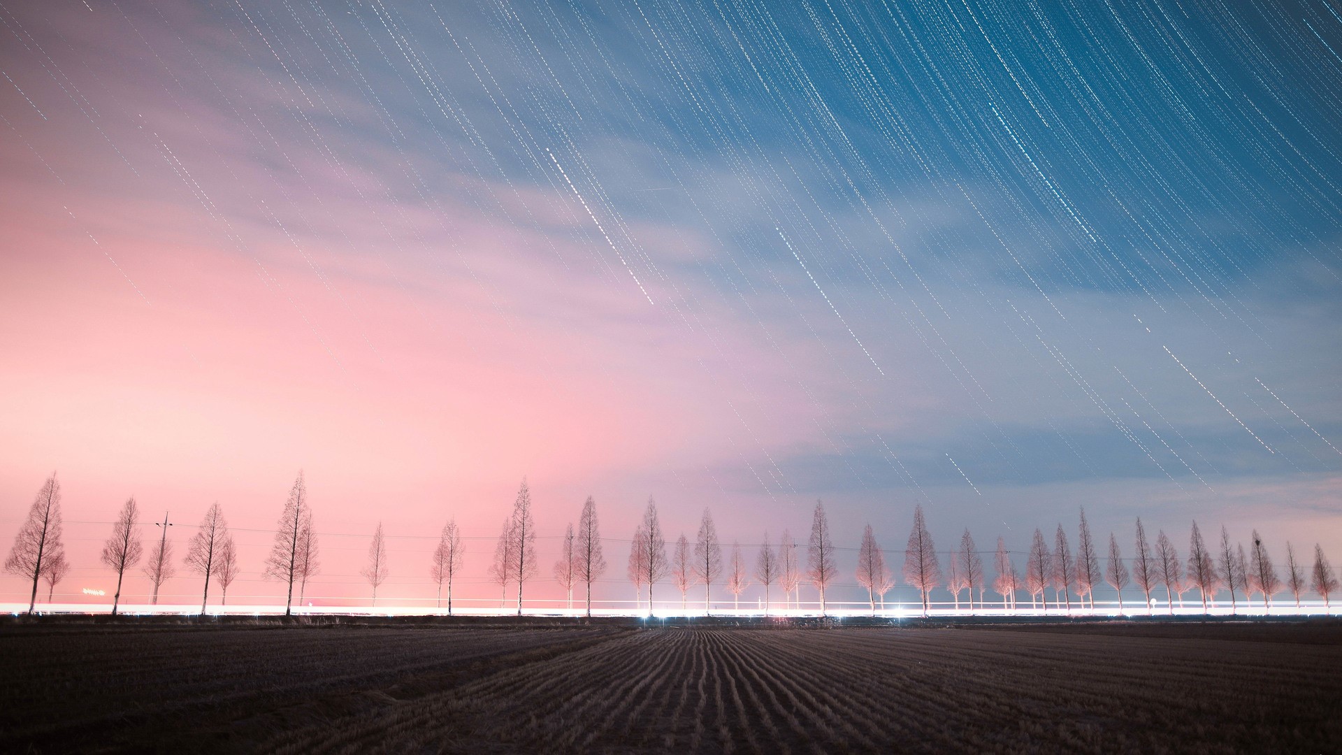 Long exposure of trees and star trails over a field HD Wallpaper