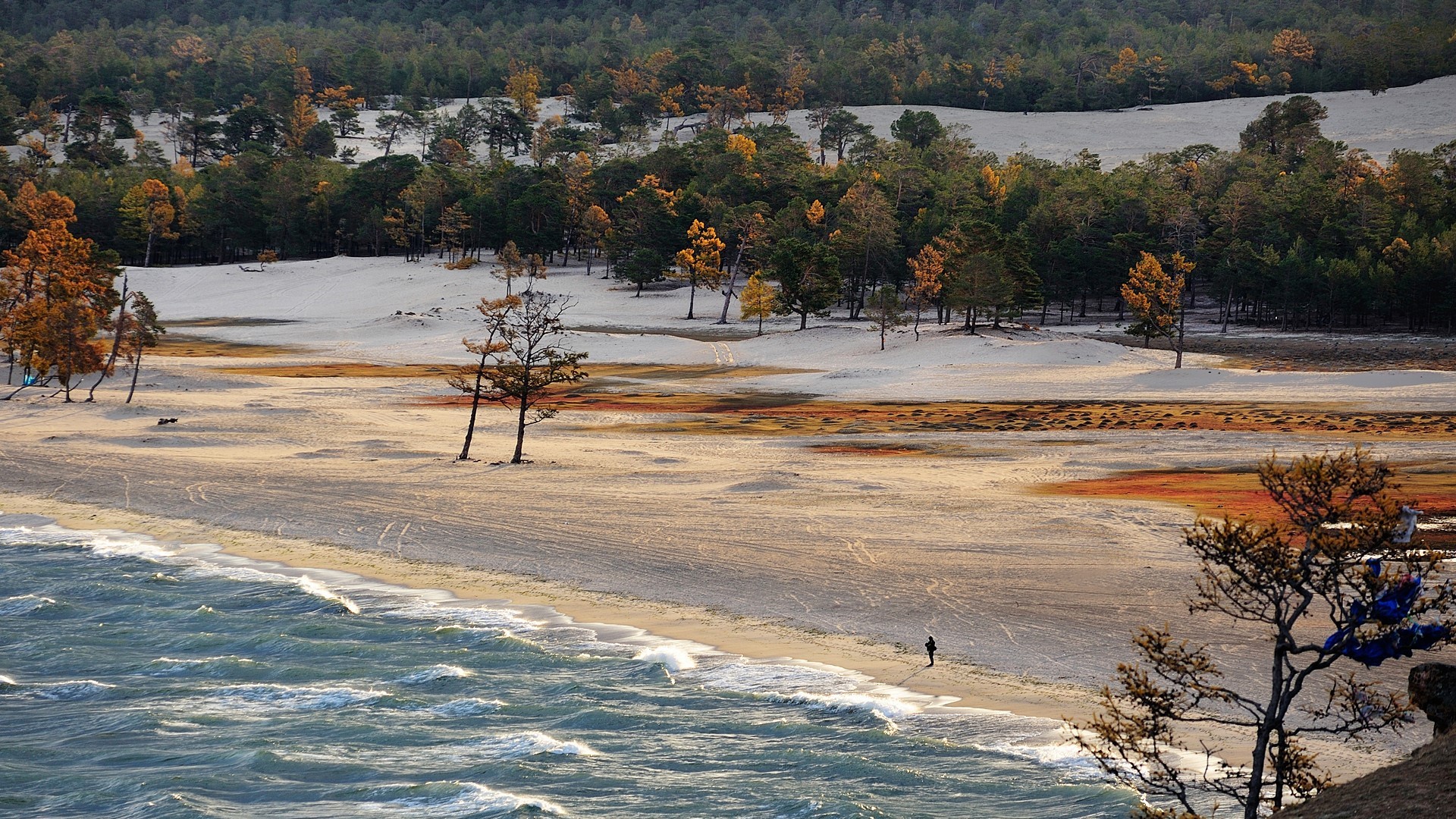 Autumn forest and sandy beach at Lake Baikal, Russia HD Wallpaper