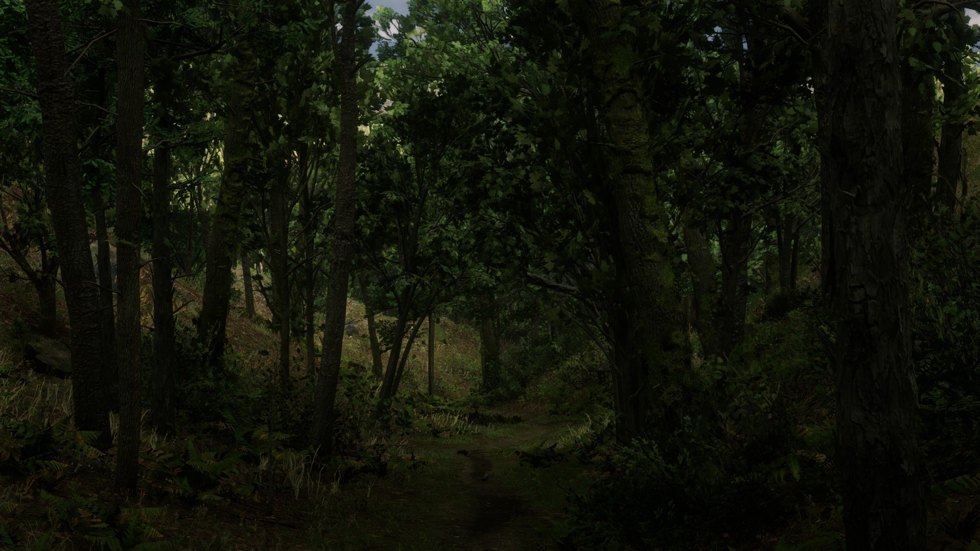 Forest path in Red Dead Redemption 2 HD Wallpaper