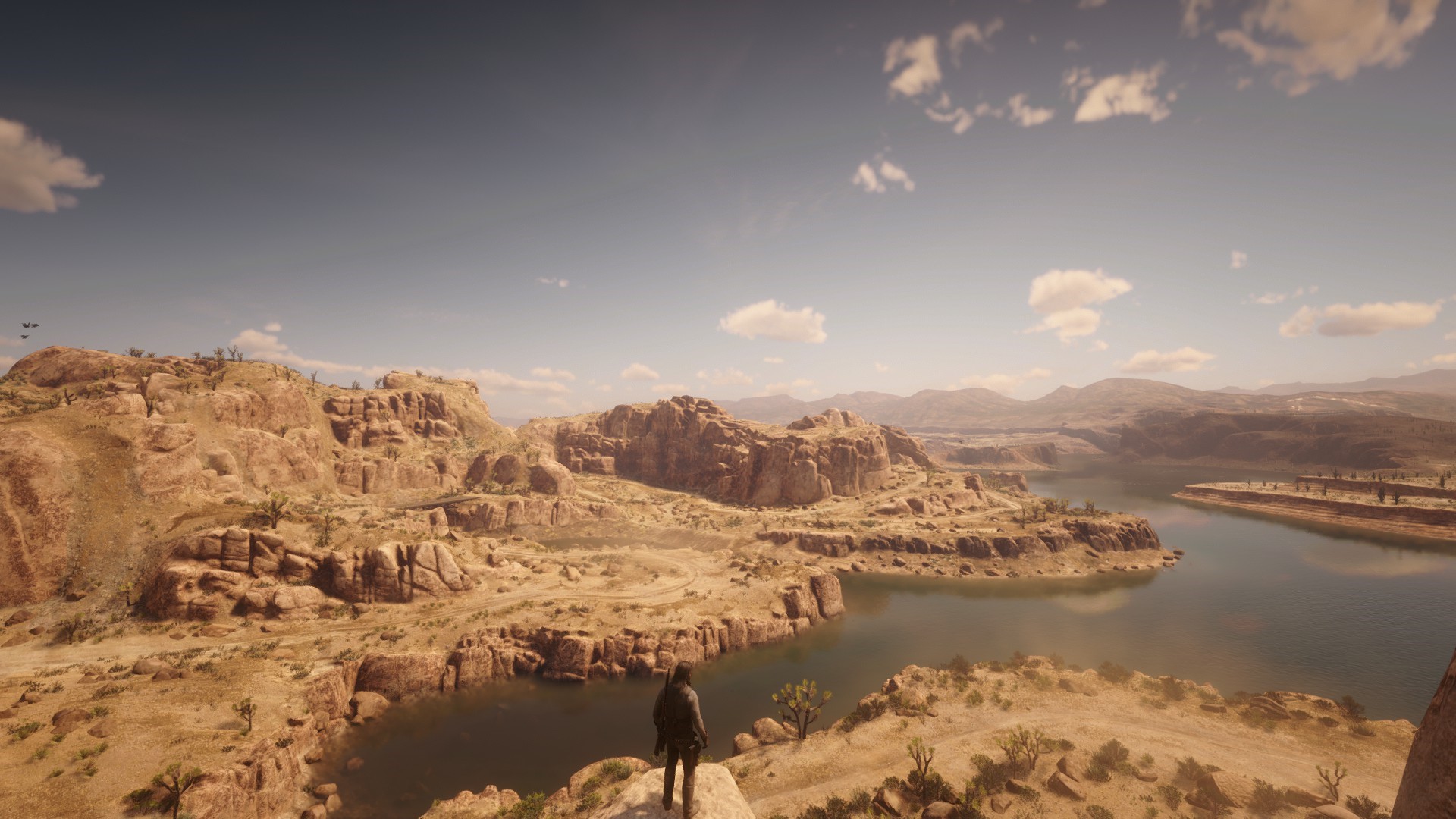 Red Dead Redemption 2 desert landscape with a person overlooking a lake HD Wallpaper