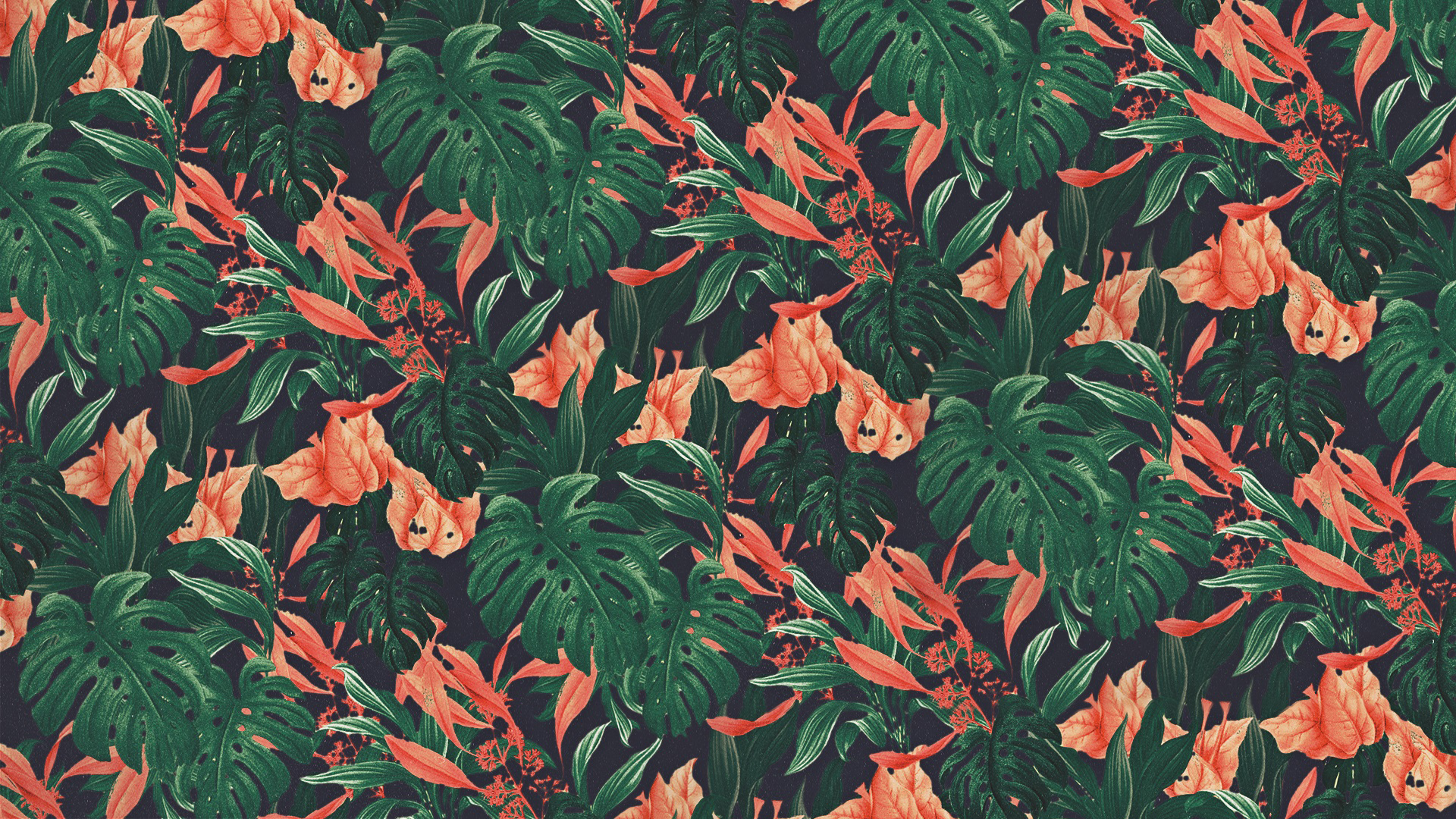 Tropical plants and flowers pattern HD Wallpaper