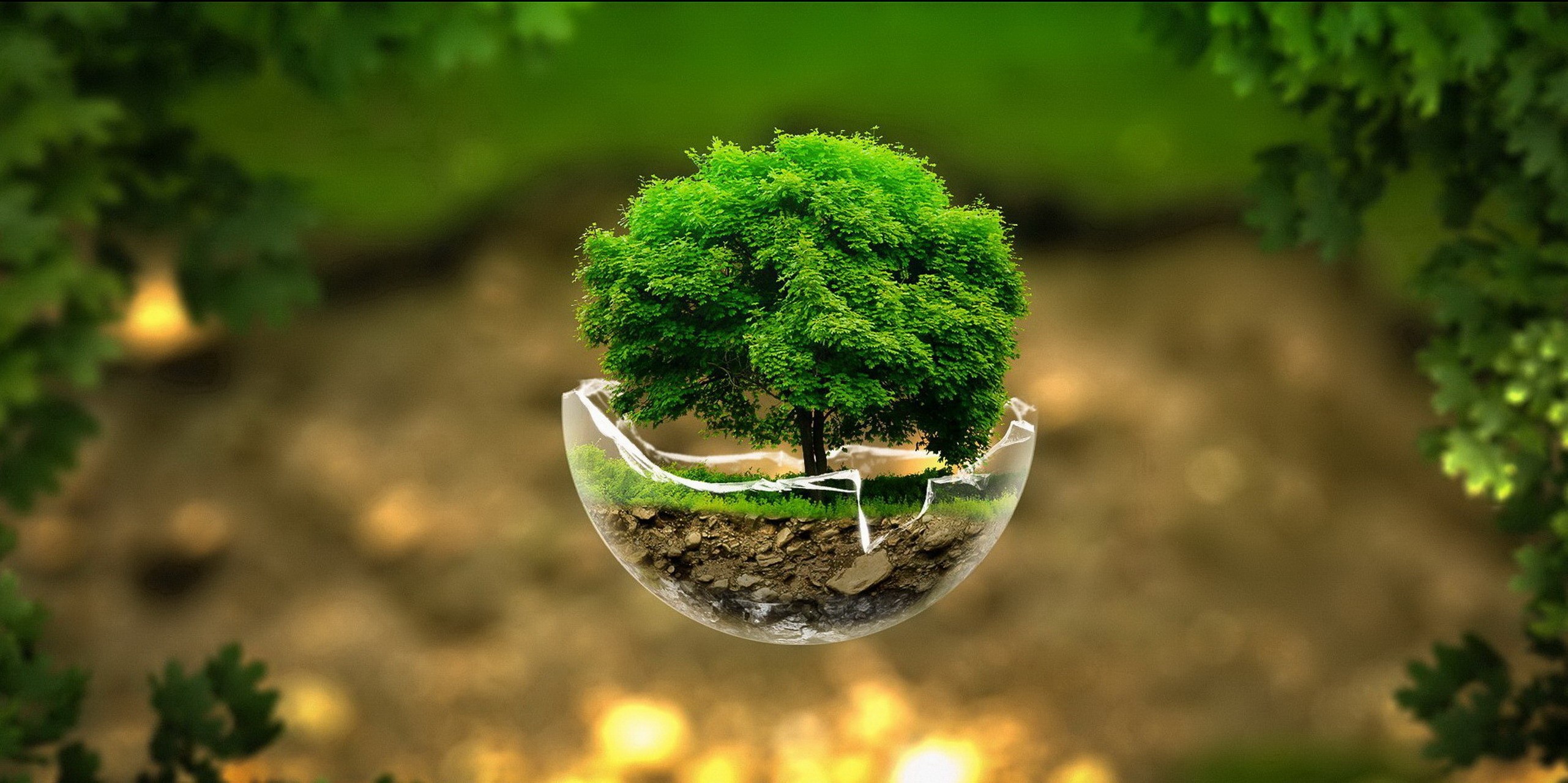 Tree growing inside a broken glass sphere HD Wallpaper