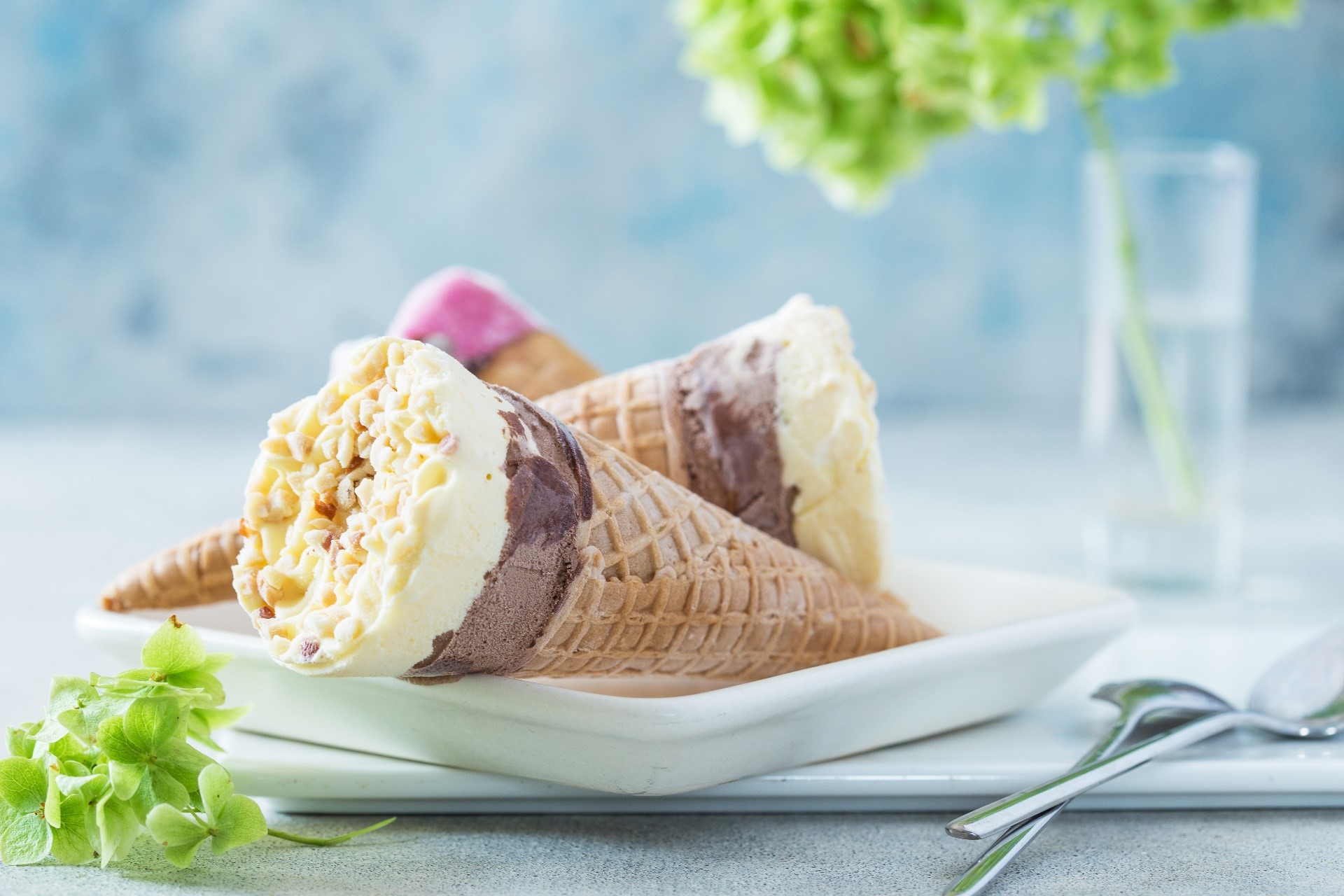 Ice cream cones on a white plate with flowers HD Wallpaper
