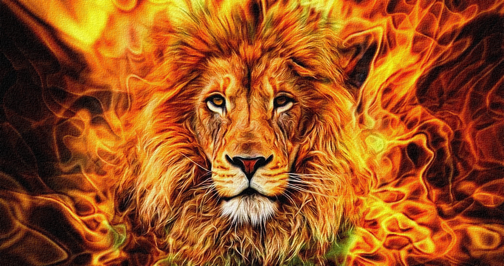 Lion with fiery mane HD Wallpaper