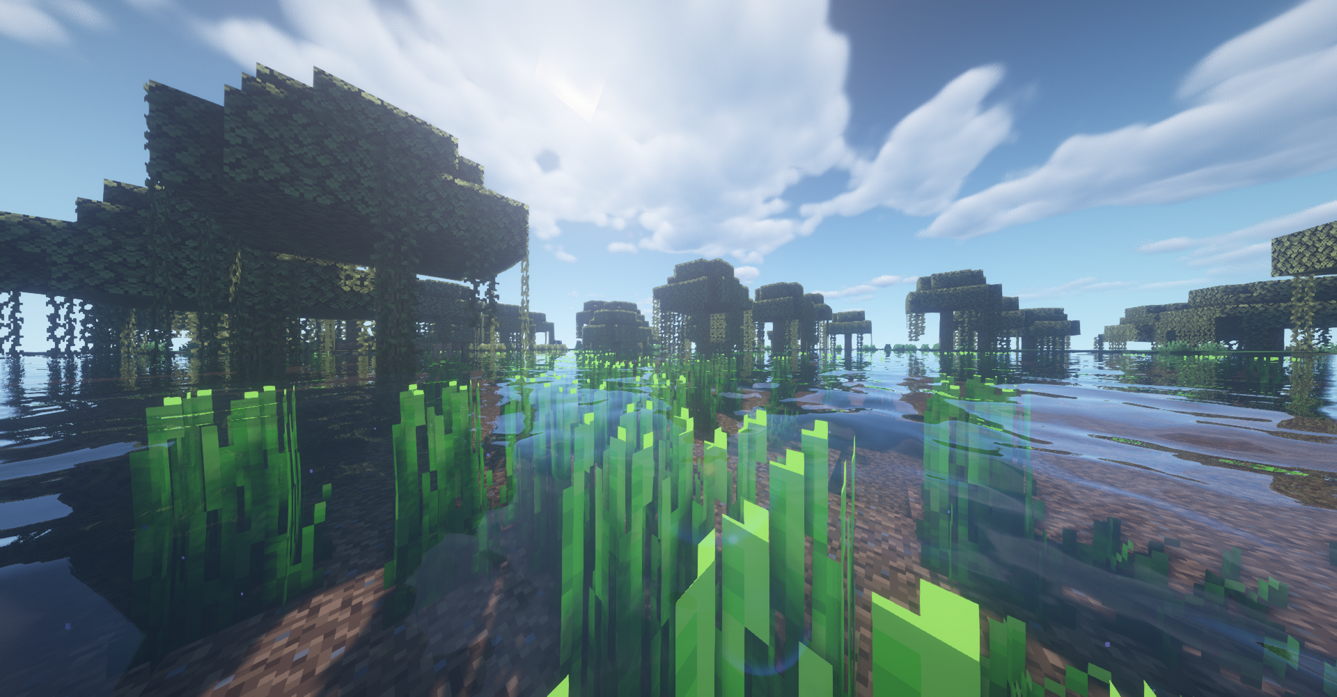 Minecraft swamp biome with lush vegetation and water HD Wallpaper