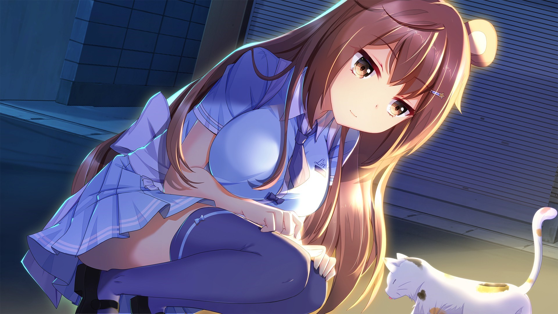 Anime girl with bear ears and a cat HD Wallpaper