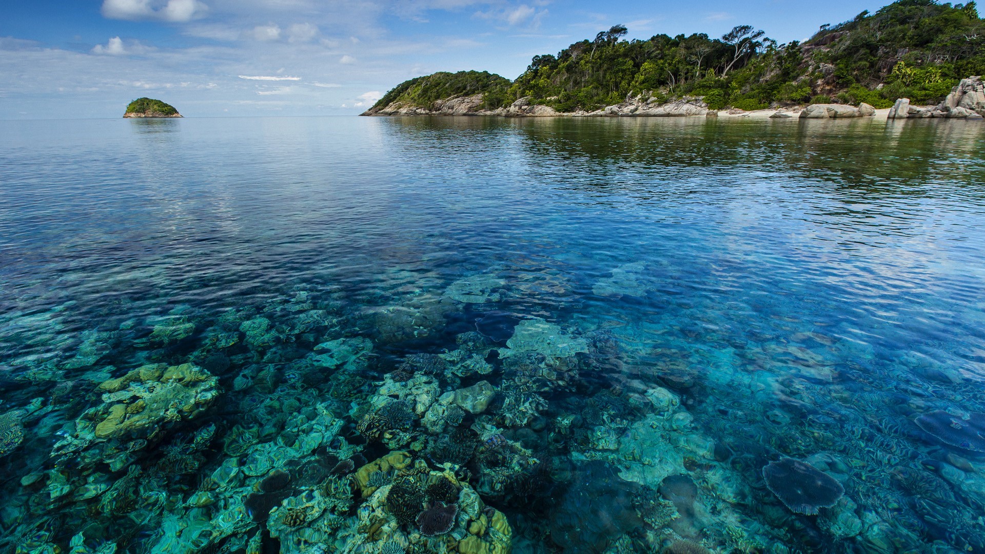 Clear turquoise water over coral reef near tropical islands HD Wallpaper