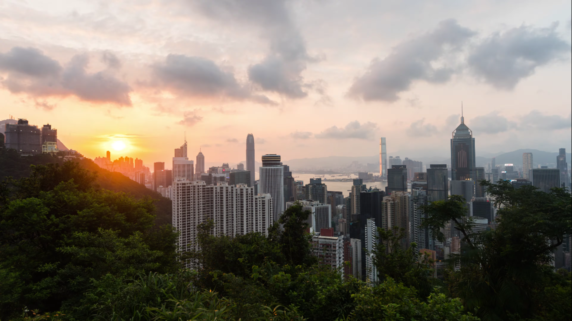 Hong Kong cityscape at sunset with trees HD Wallpaper