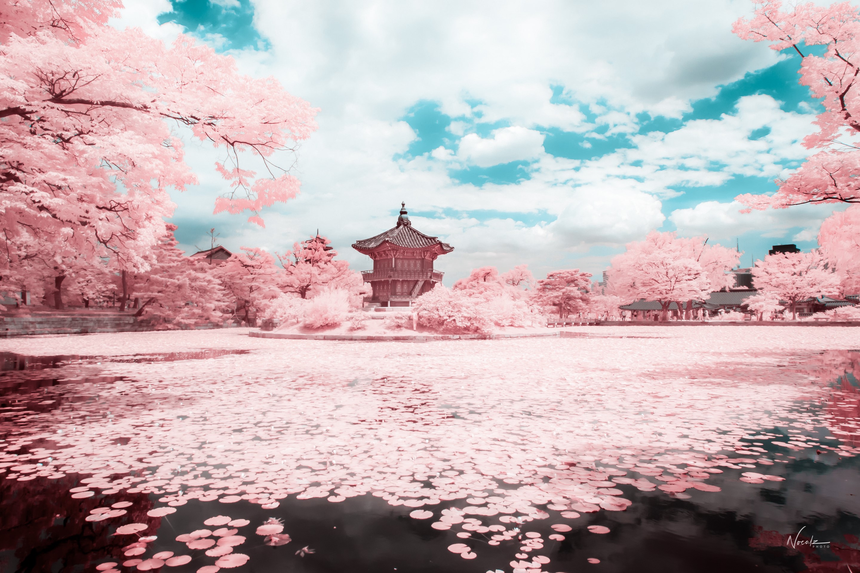 Korean Pagoda and Pond with Pink Trees HD Wallpaper