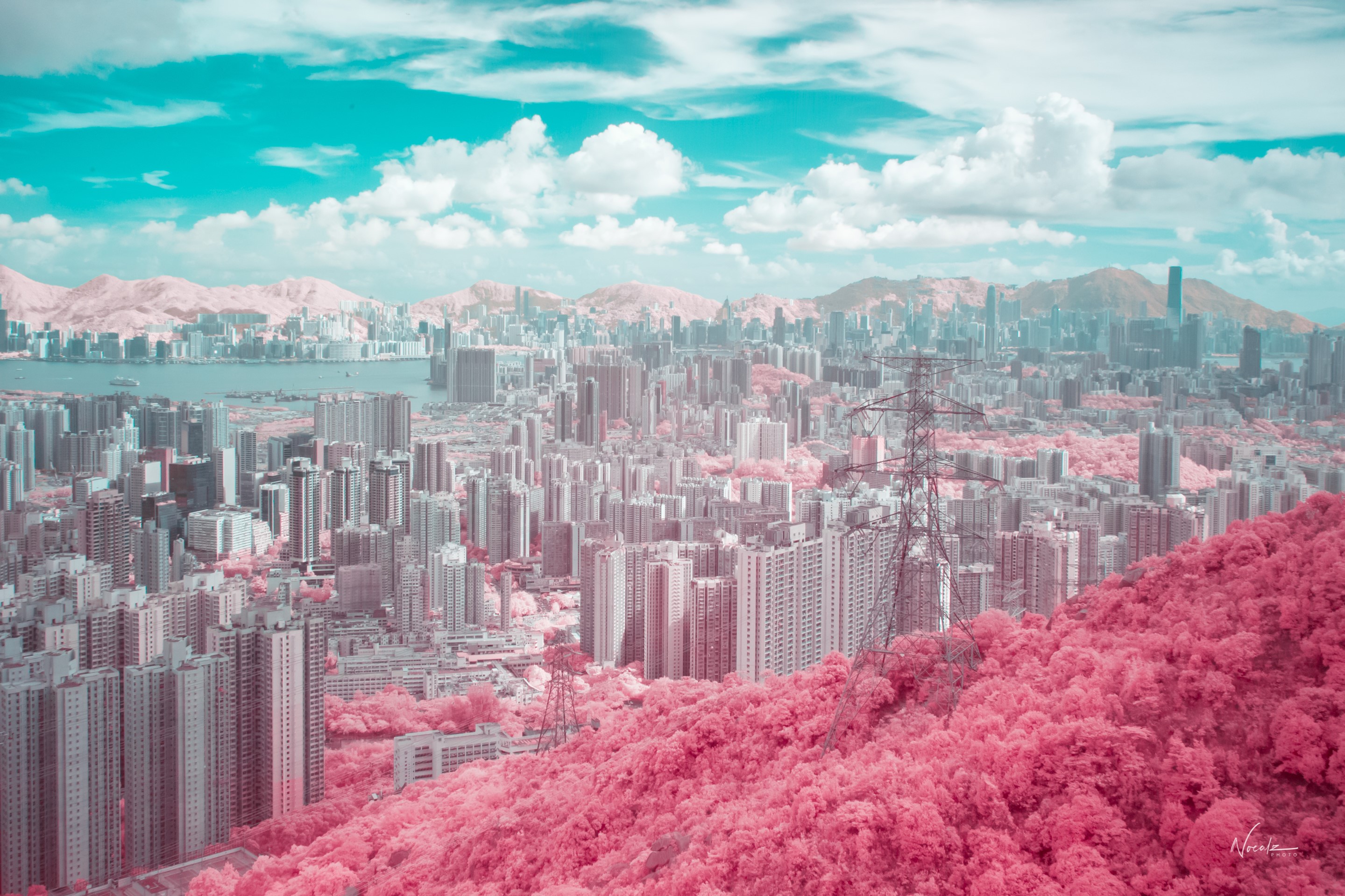 Hong Kong cityscape with pink foliage and power lines HD Wallpaper
