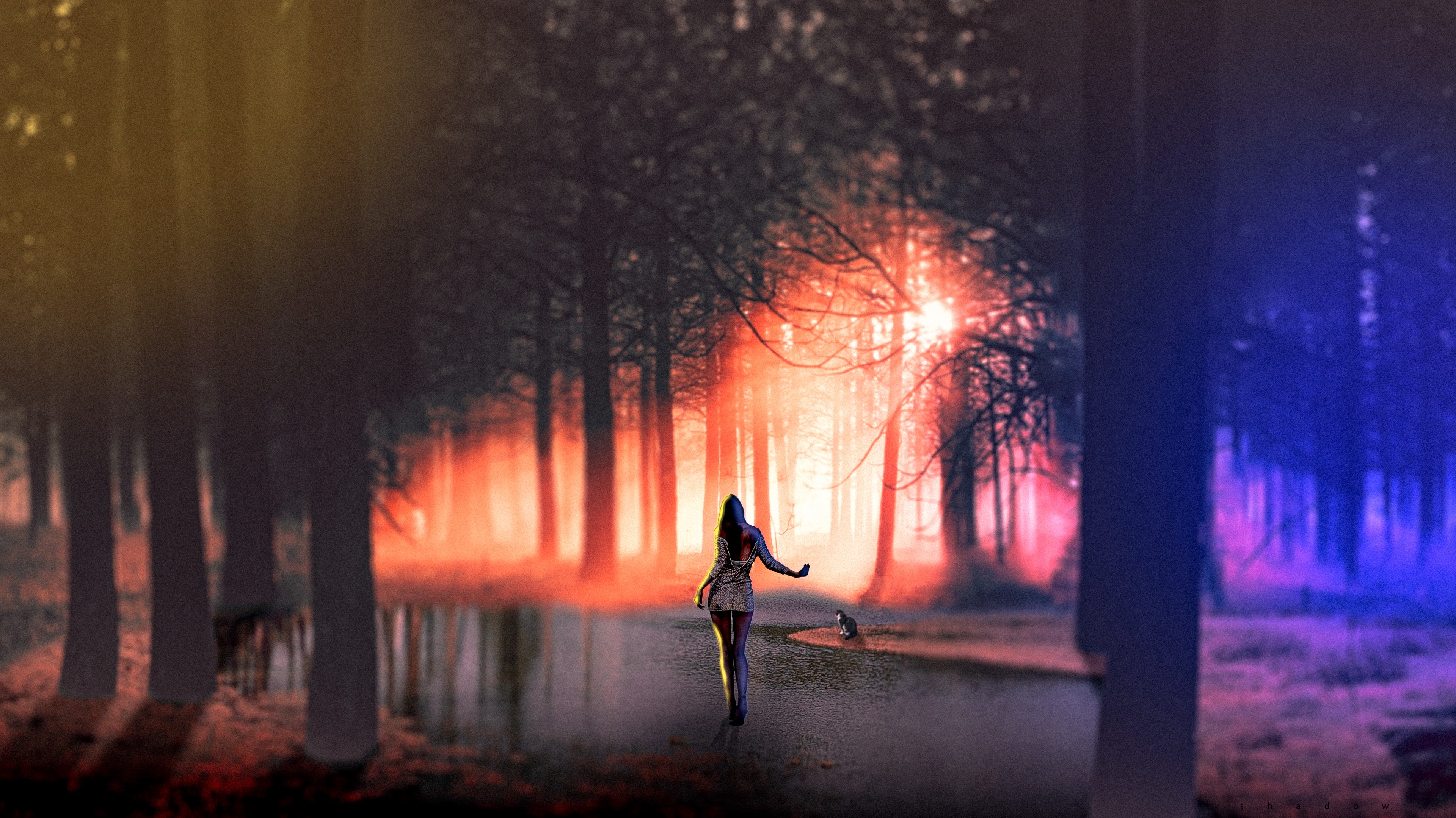 Woman and cat walking in a surreal forest HD Wallpaper