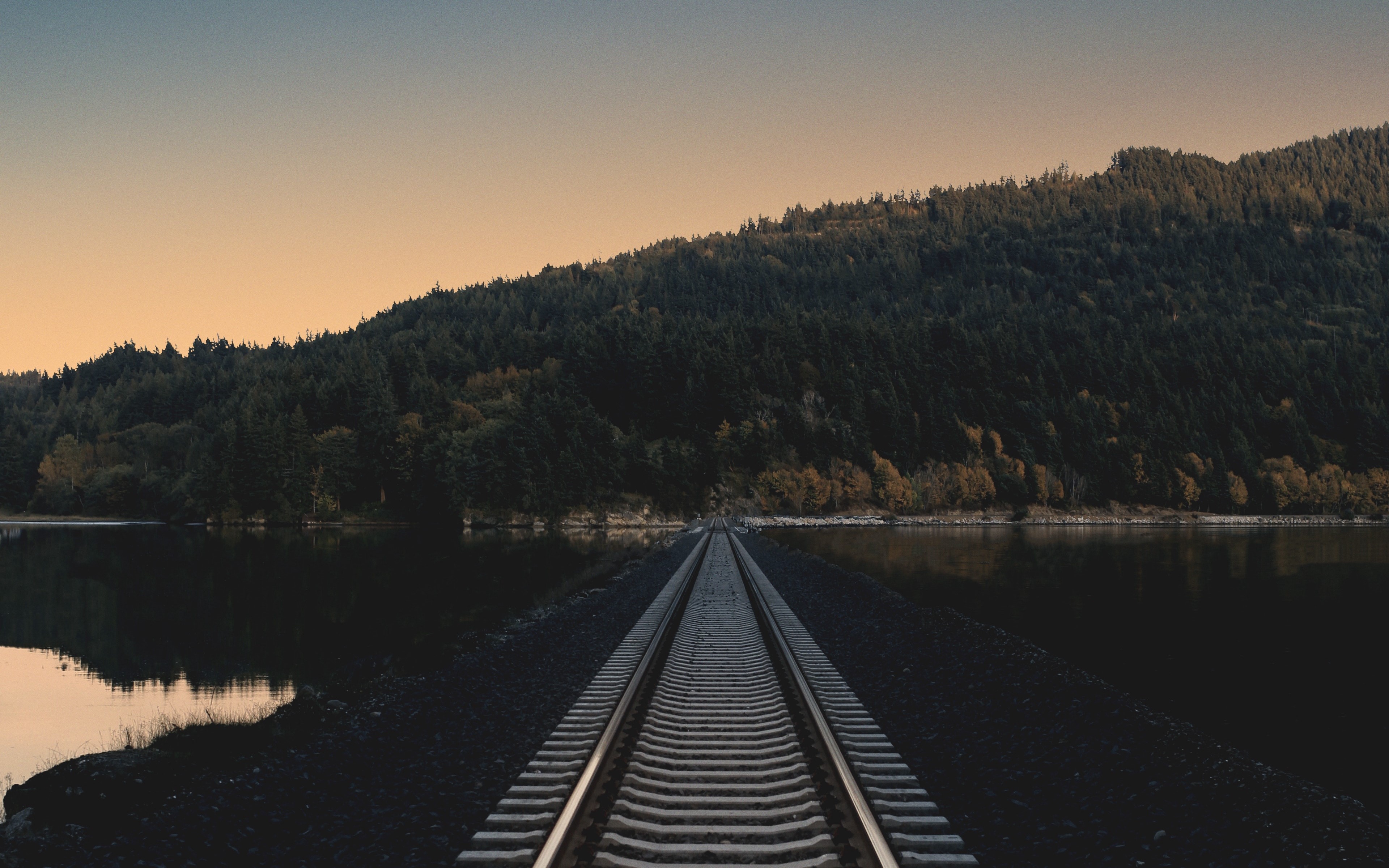 Railroad tracks leading into a forest by a lake HD Wallpaper