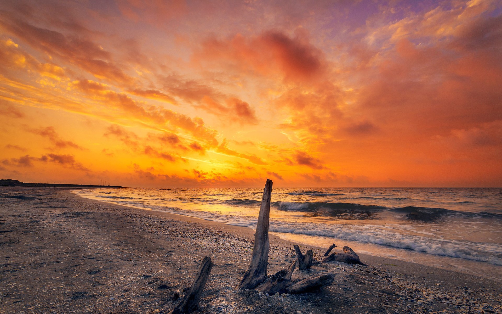 Sunrise over a beach with driftwood HD Wallpaper