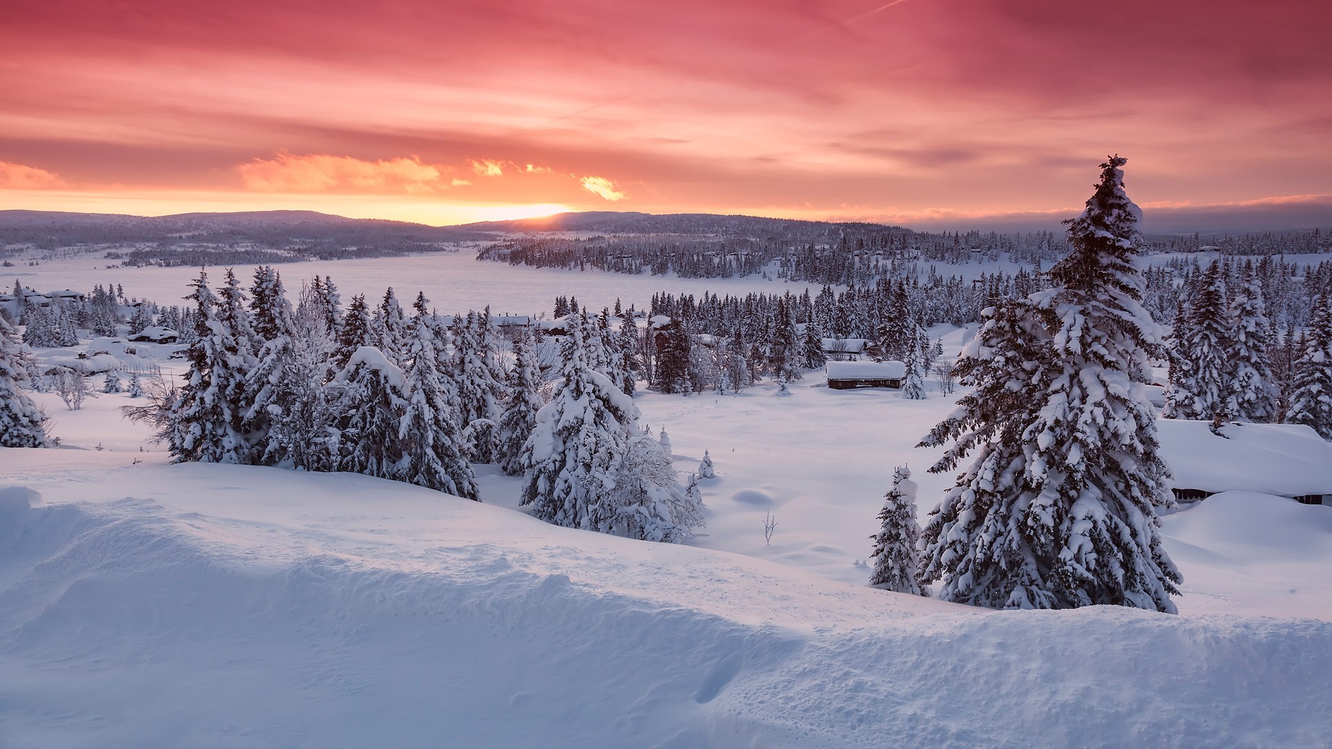 Snowy landscape with trees and houses at sunset HD Wallpaper