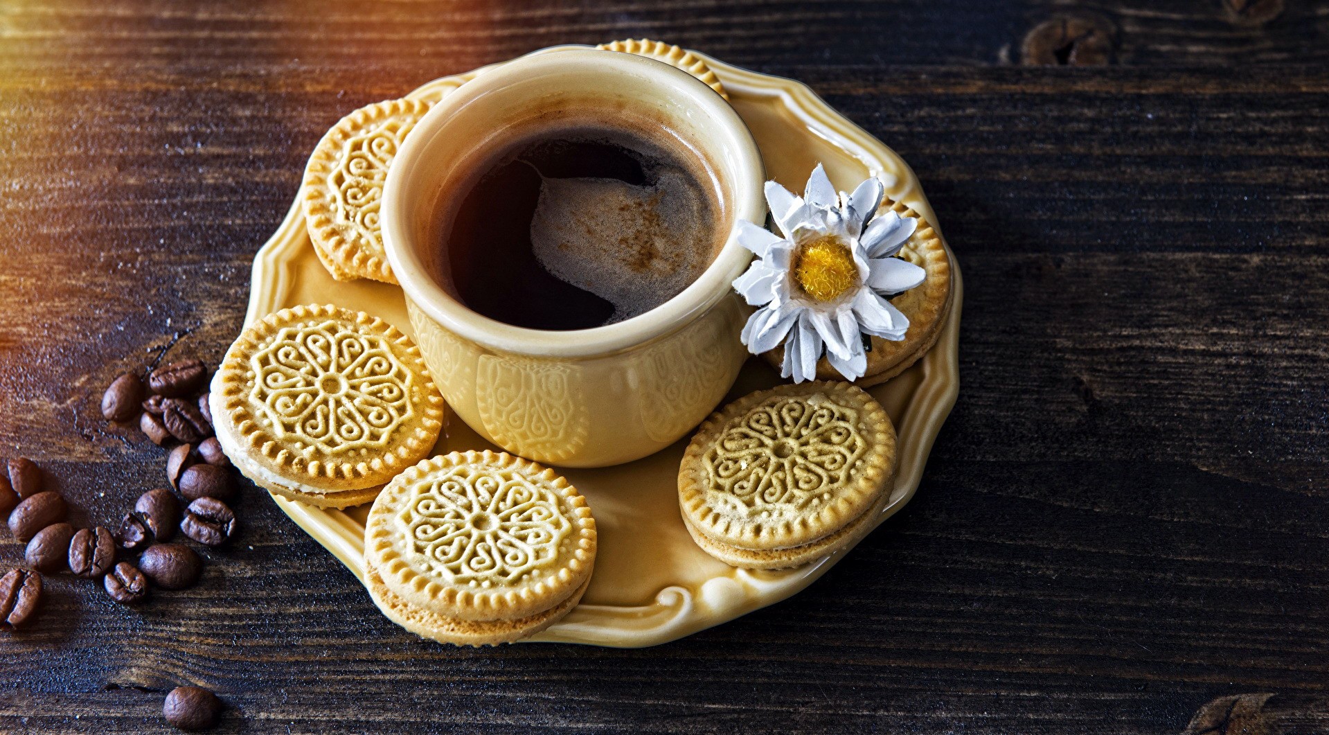 Coffee cup with cookies and flower on wooden surface HD Wallpaper