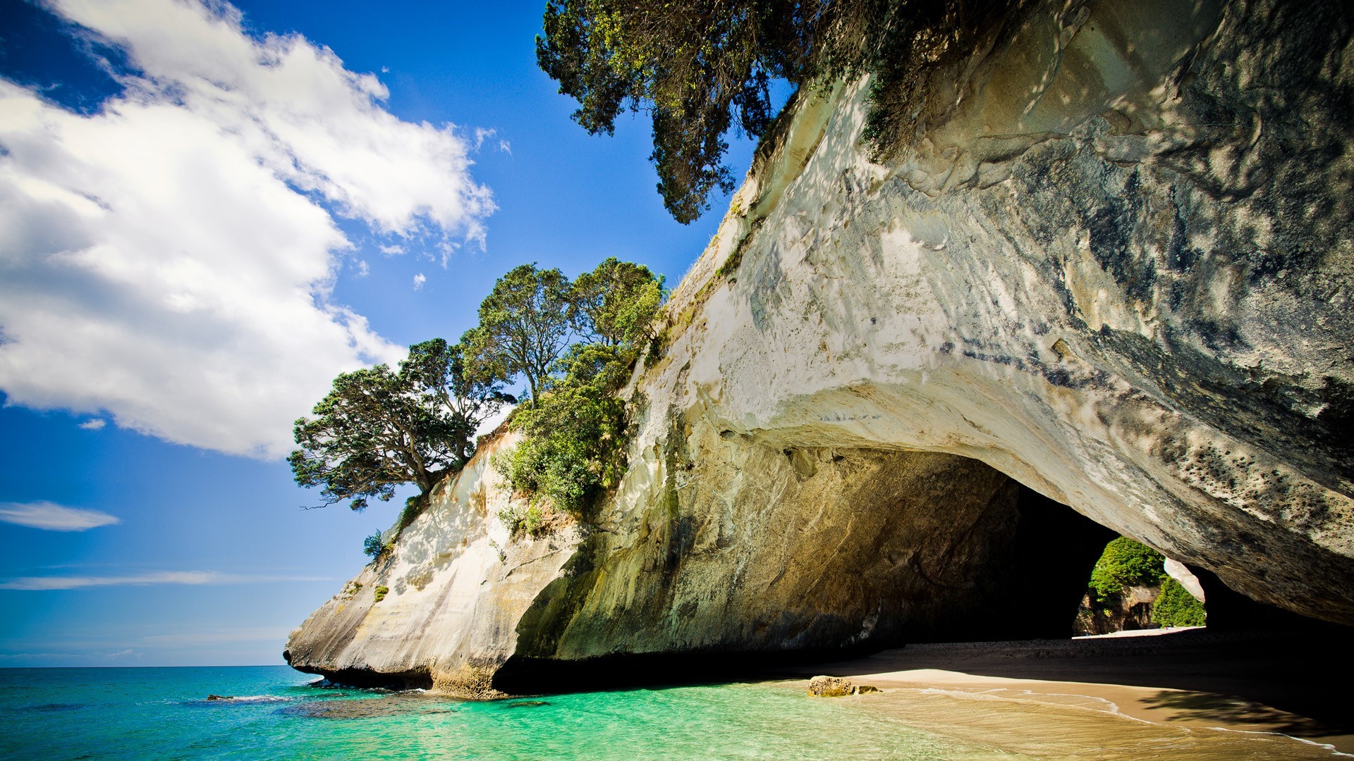Cathedral Cove, Te Whanganui-A-Hei Marine Reserve, New Zealand HD Wallpaper