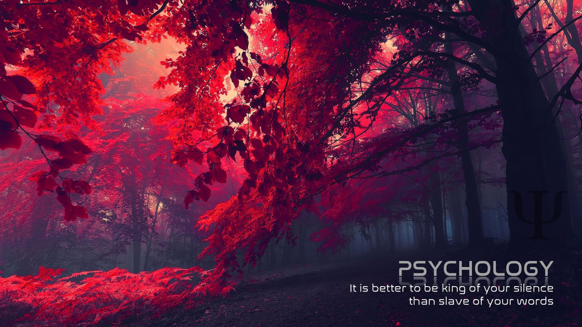 Psychology quote with red forest background HD Wallpaper