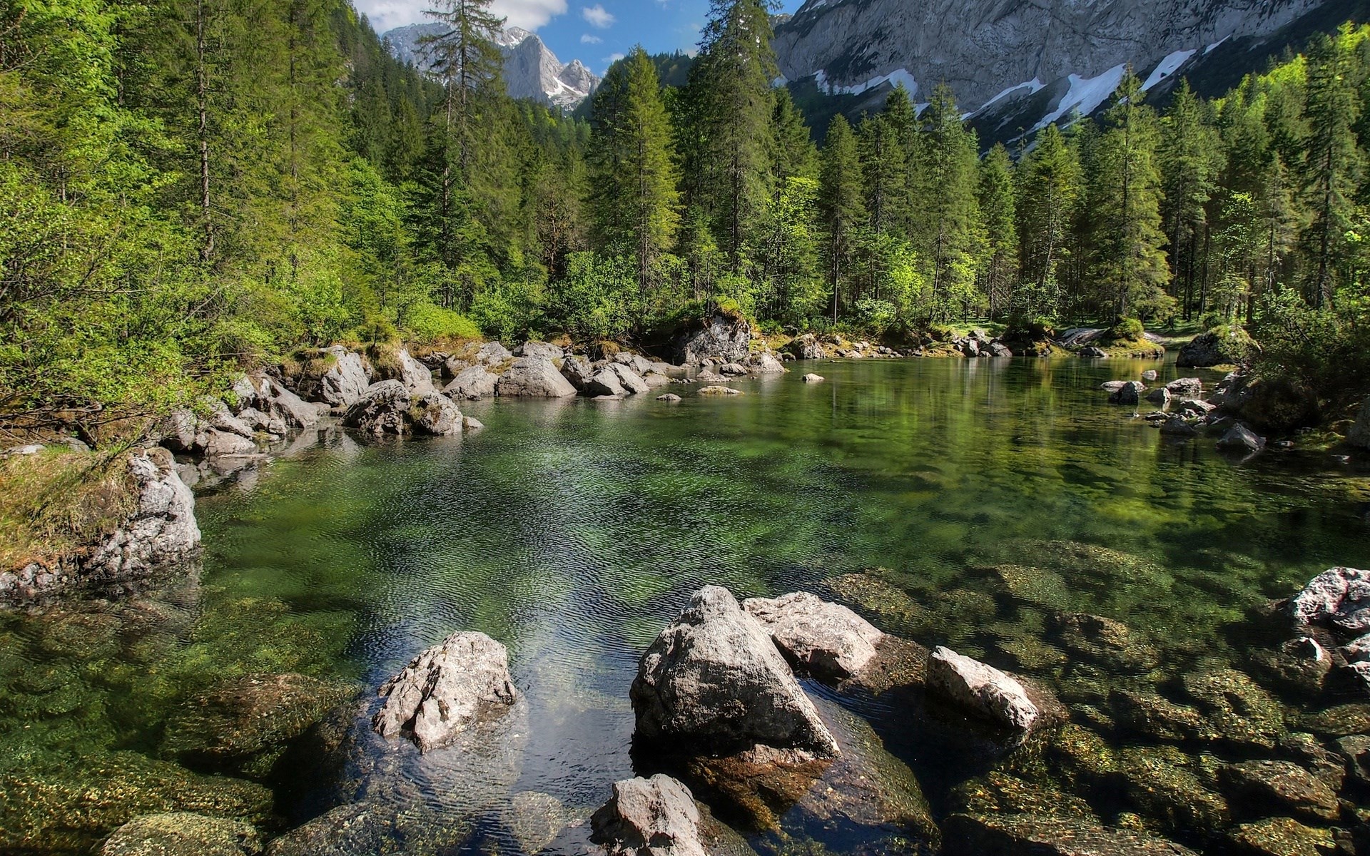 Clear mountain lake surrounded by pine forest and rocky shore HD Wallpaper