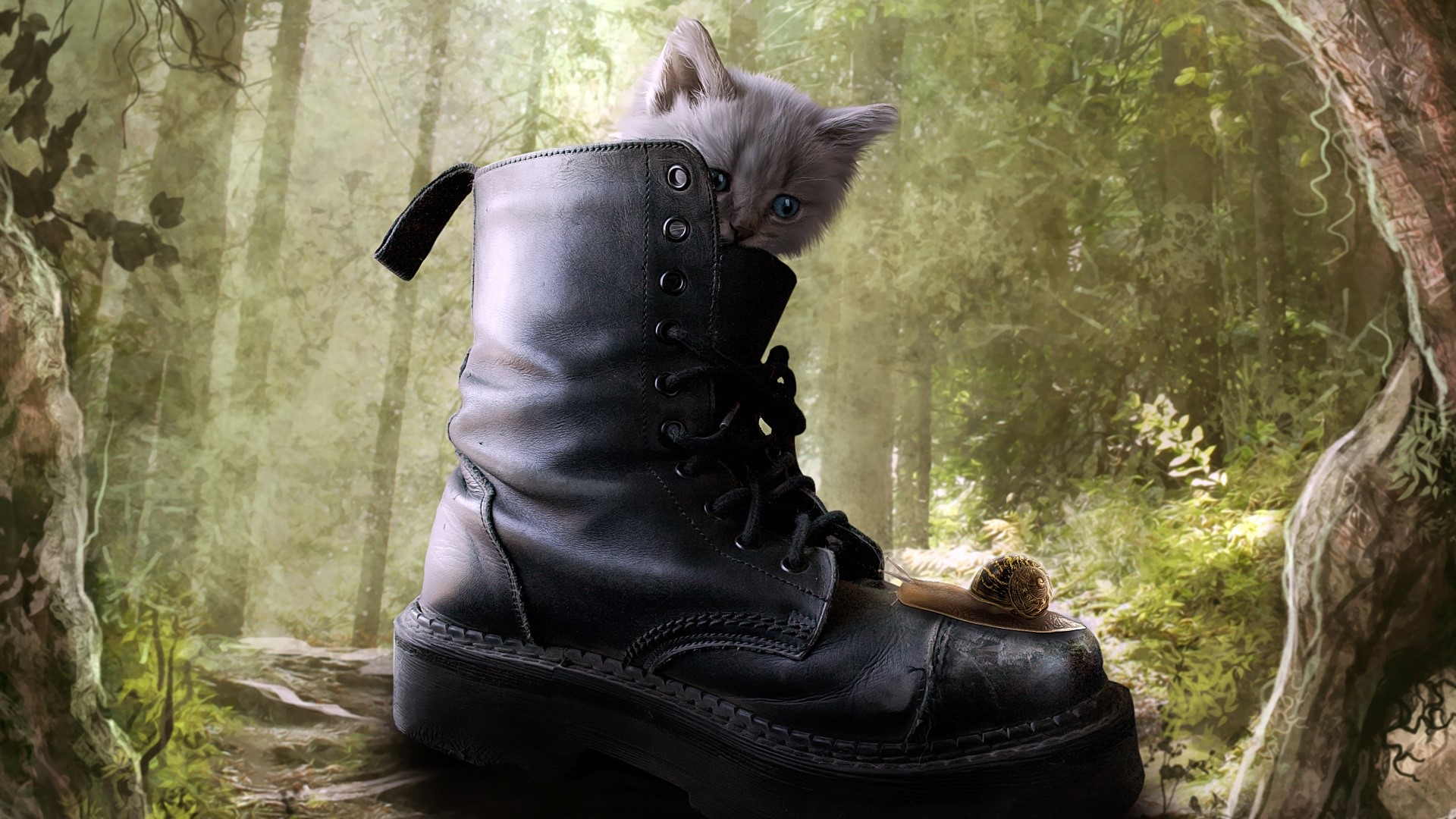 Kitten in a boot with a snail in a forest HD Wallpaper