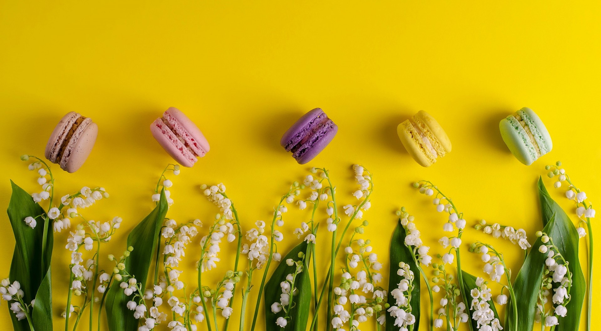 Colorful macarons and lily of the valley flowers on yellow background HD Wallpaper