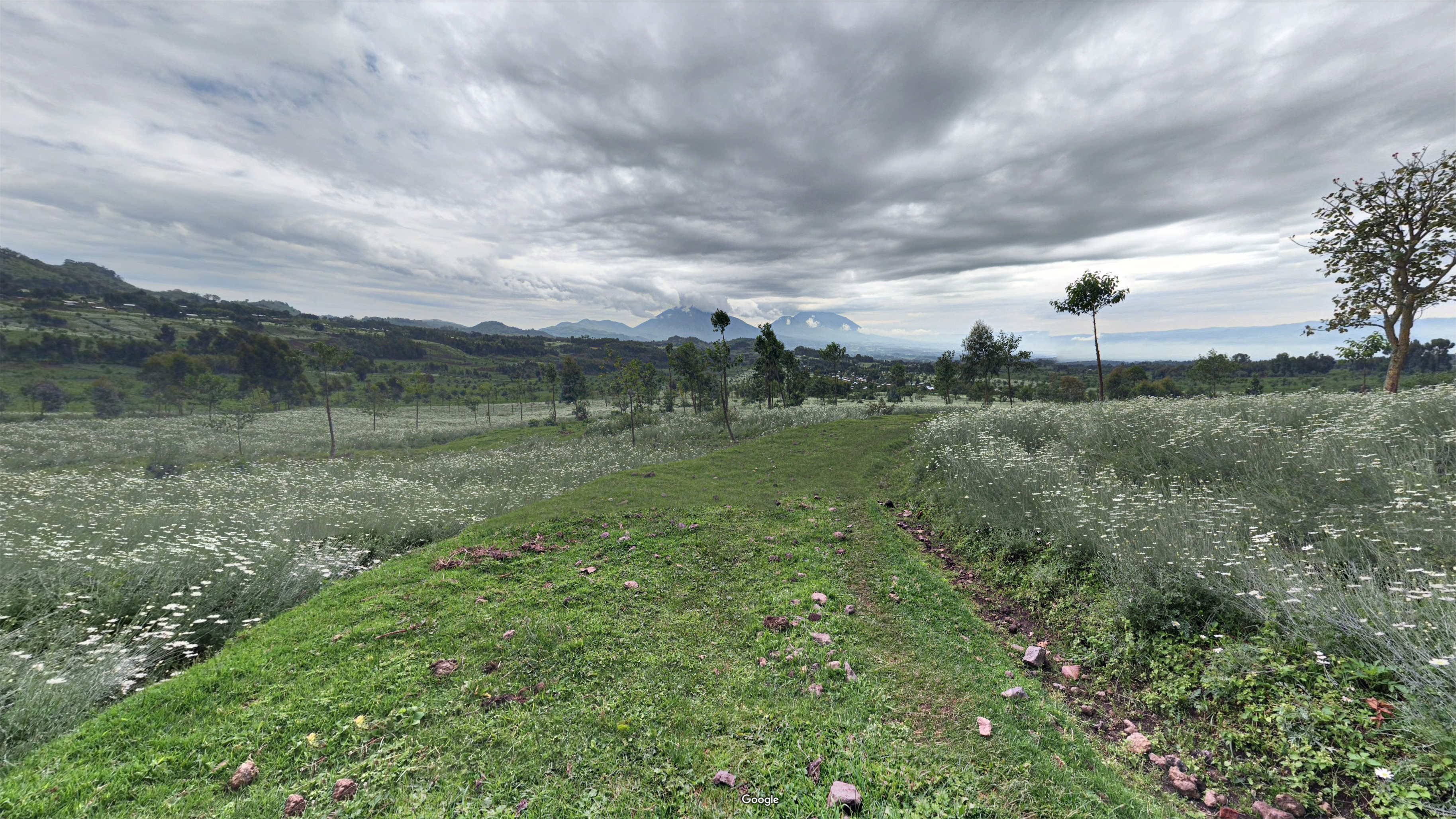 Landscape of Rwanda with mountains and fields HD Wallpaper