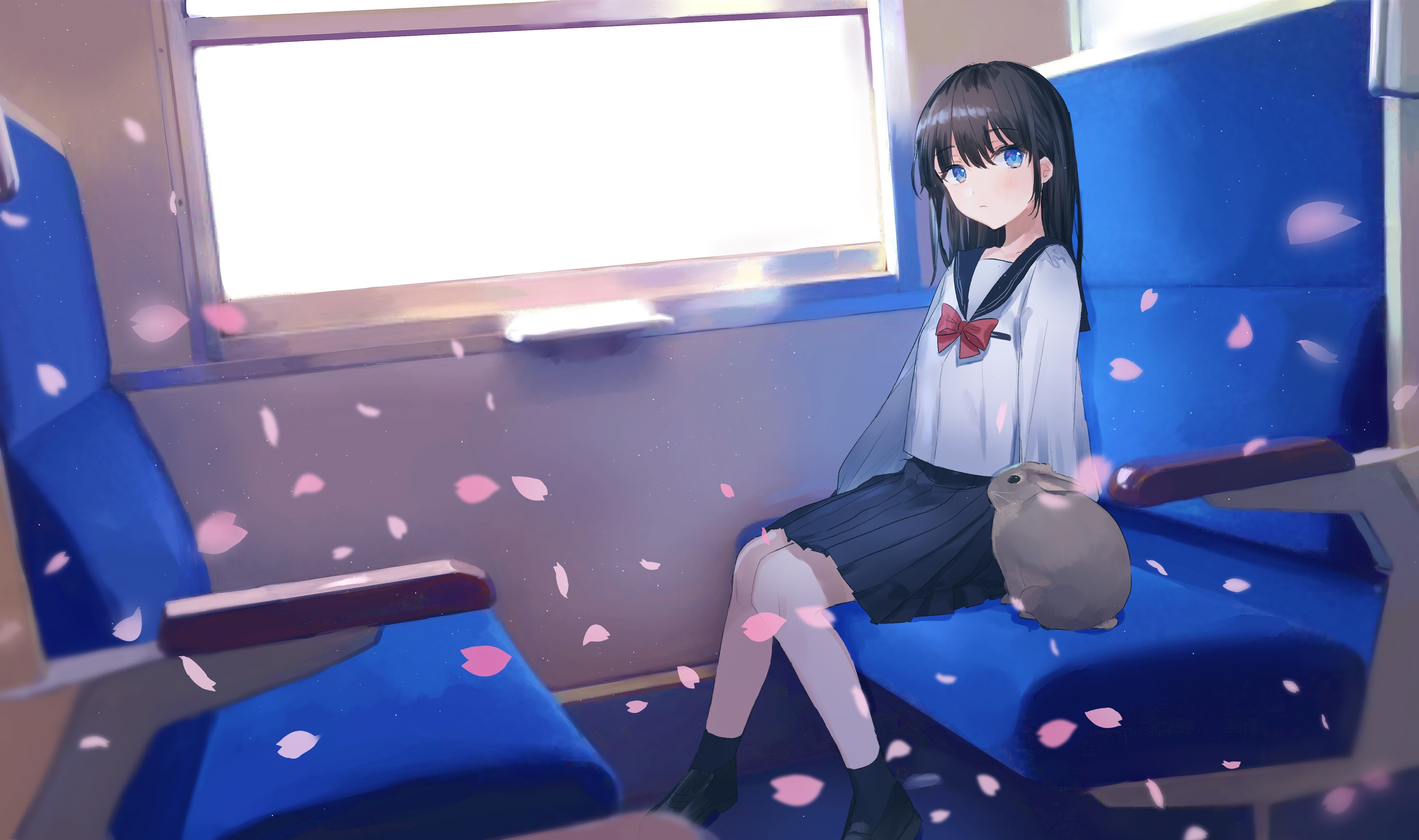 Anime girl with rabbit on a train HD Wallpaper