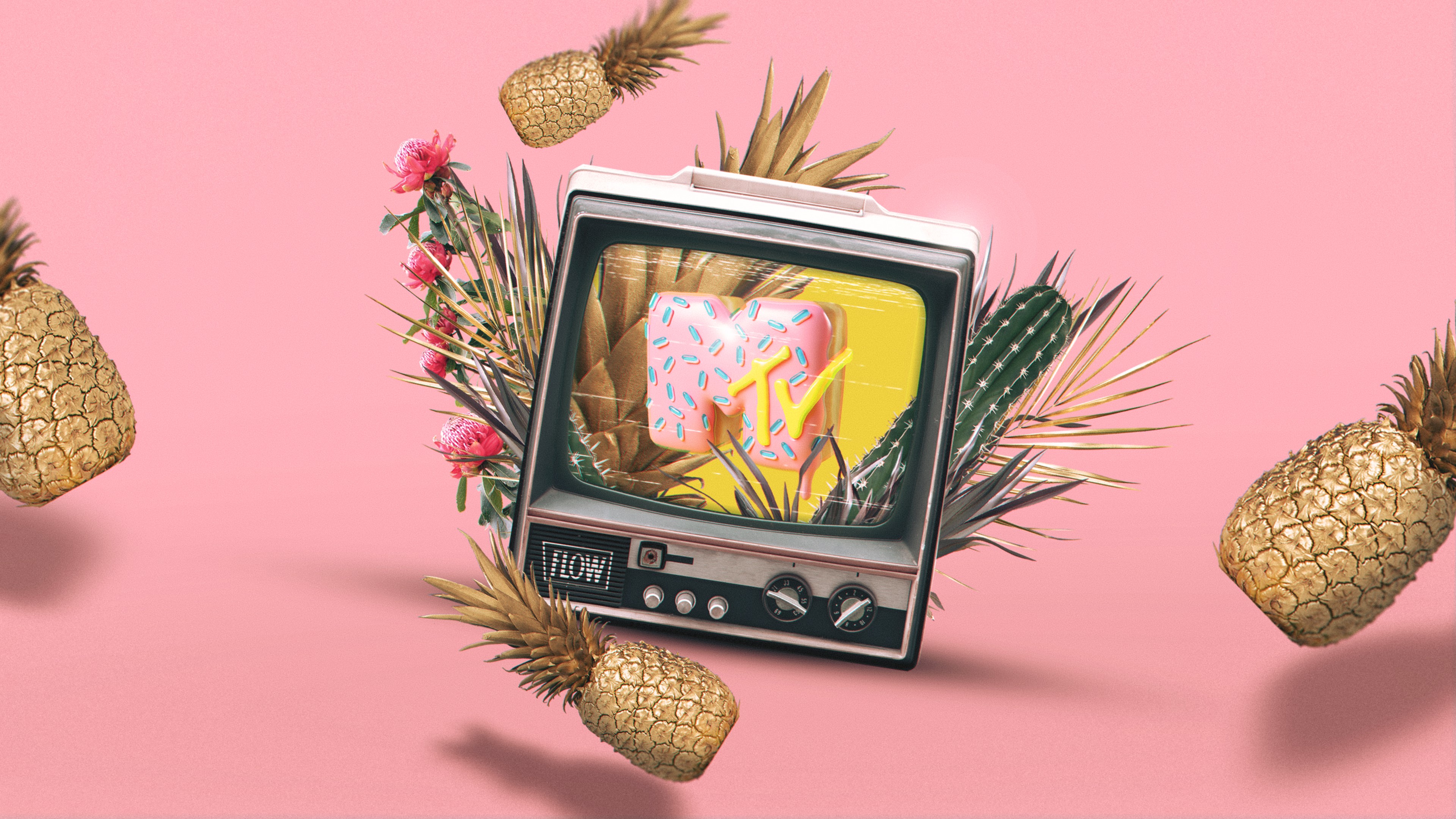 MTV logo on a donut with pineapples and flowers HD Wallpaper