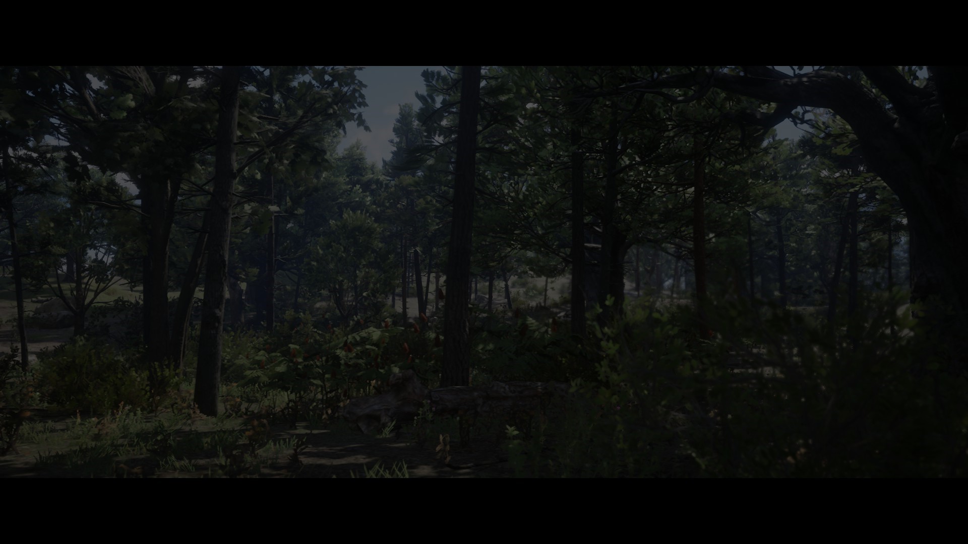 Red Dead Redemption 2 forest scenery HD Wallpaper