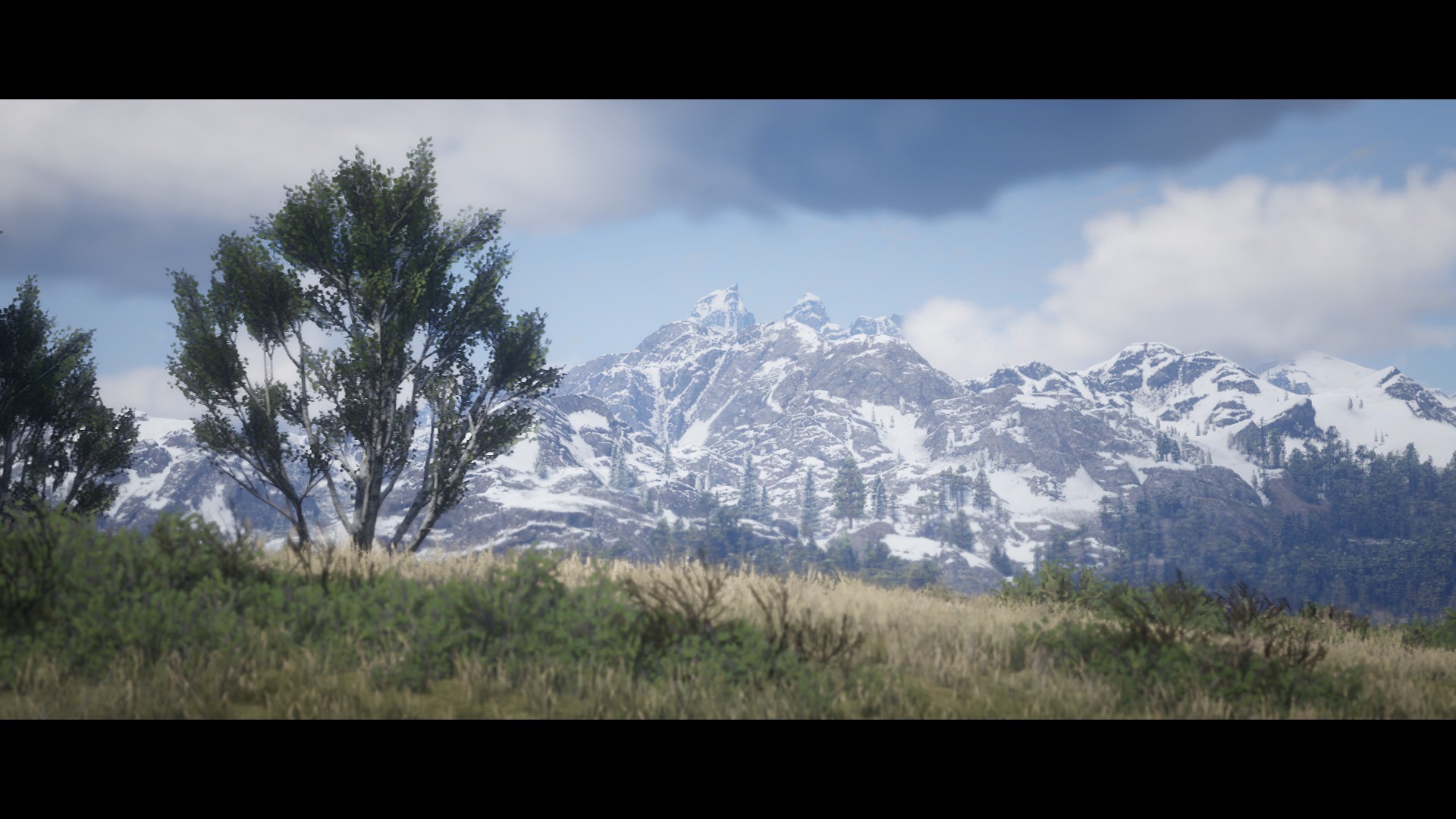 Red Dead Redemption 2 Snow-Capped Mountains and Trees HD Wallpaper