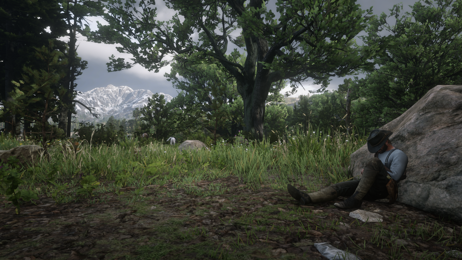 Man resting against a rock in Red Dead Redemption 2 HD Wallpaper