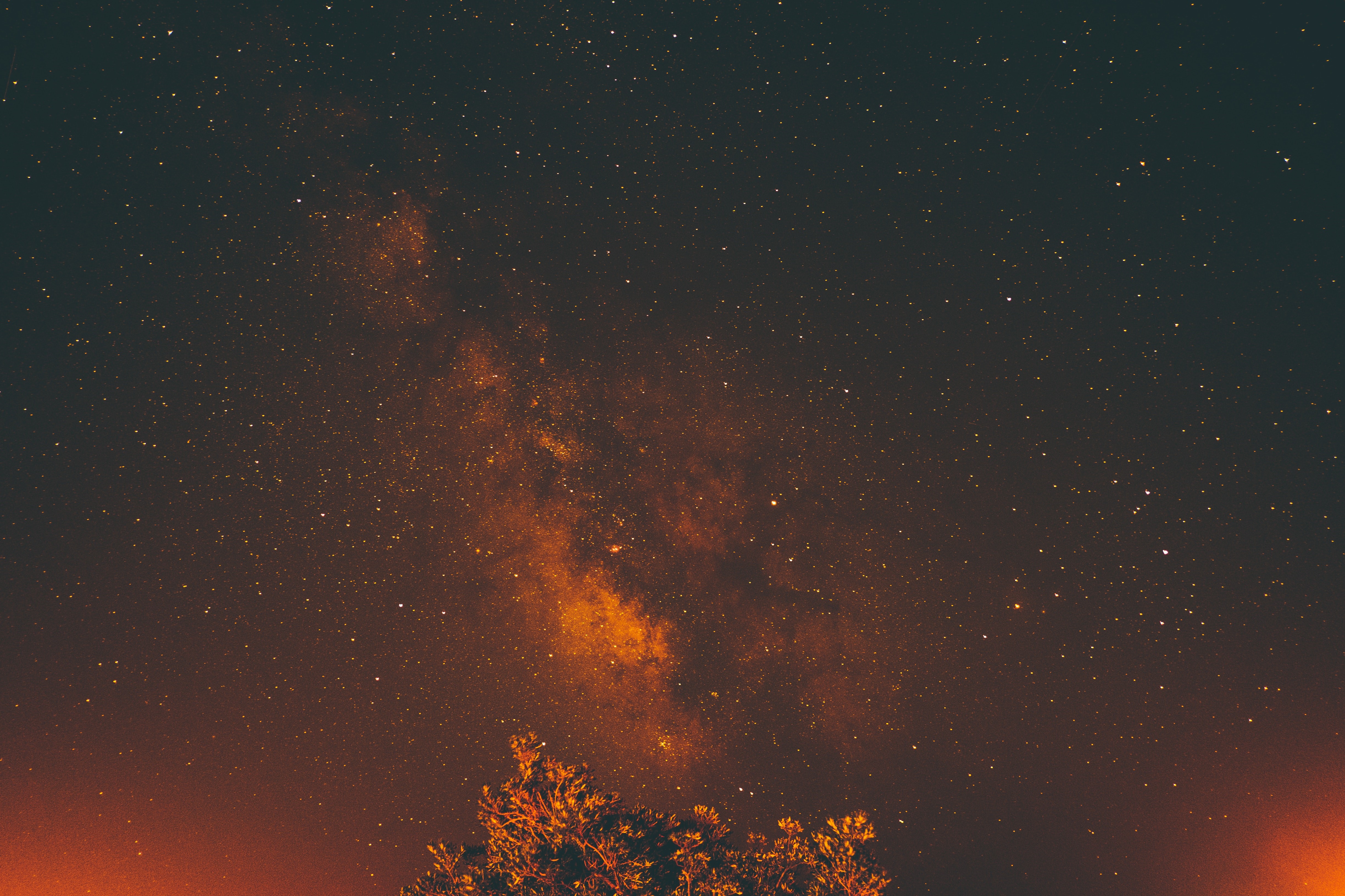 4K Skyscape with Milky Way and Tree Branch HD Wallpaper