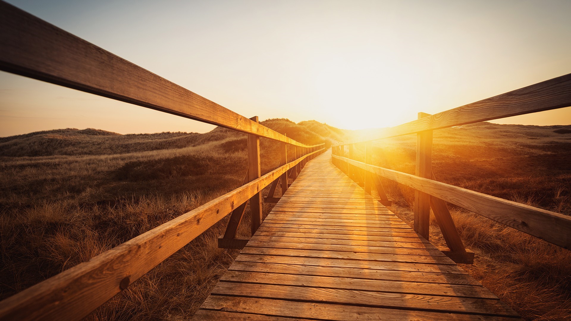 Wooden walkway through dunes at sunset HD Wallpaper