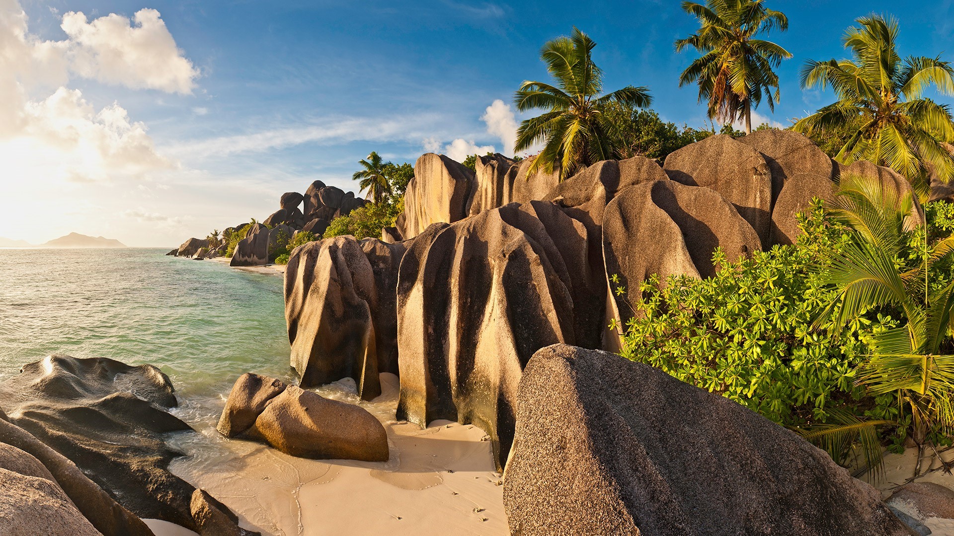 Tropical beach with granite boulders and palm trees HD Wallpaper