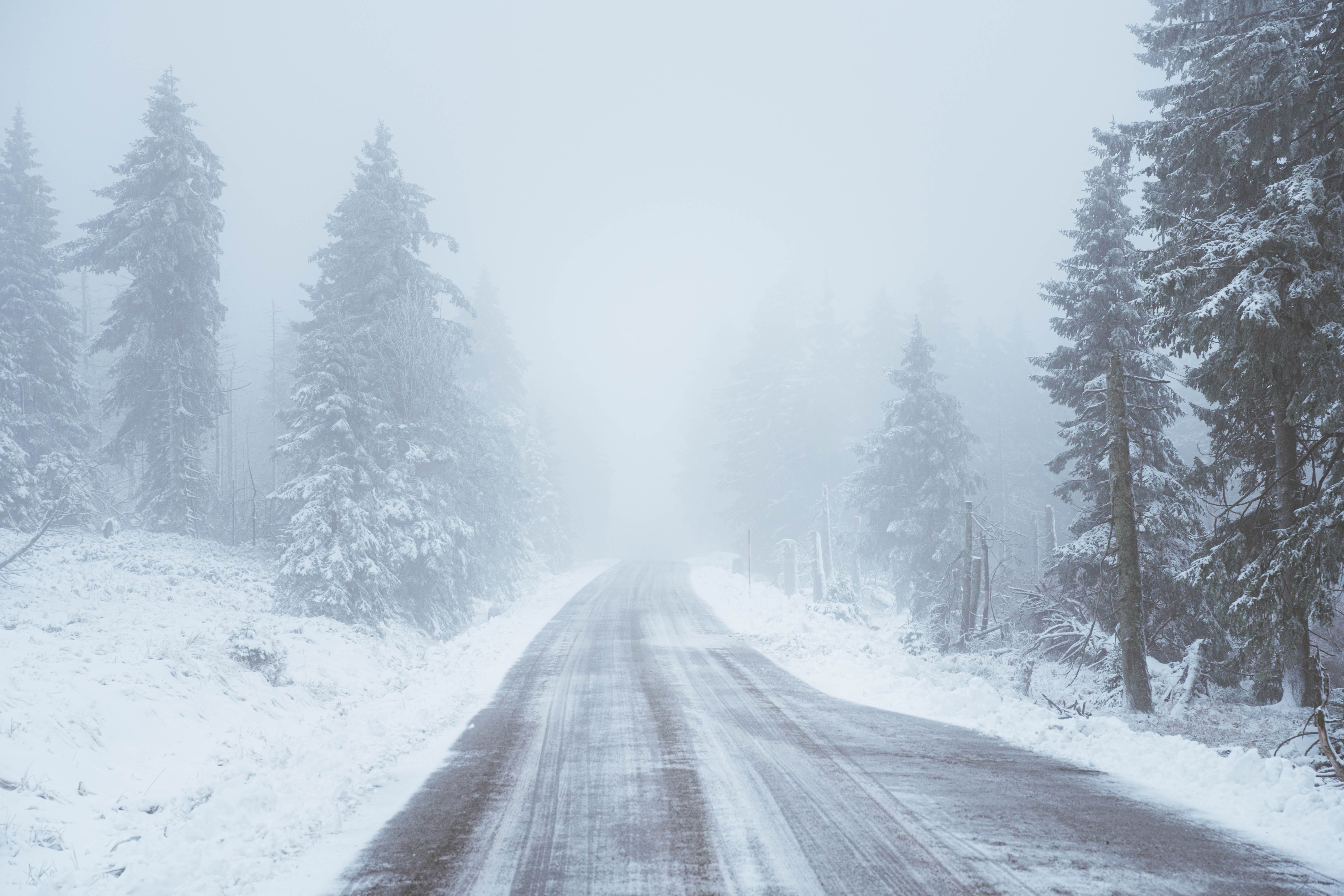 4K winter road through snowy forest HD Wallpaper