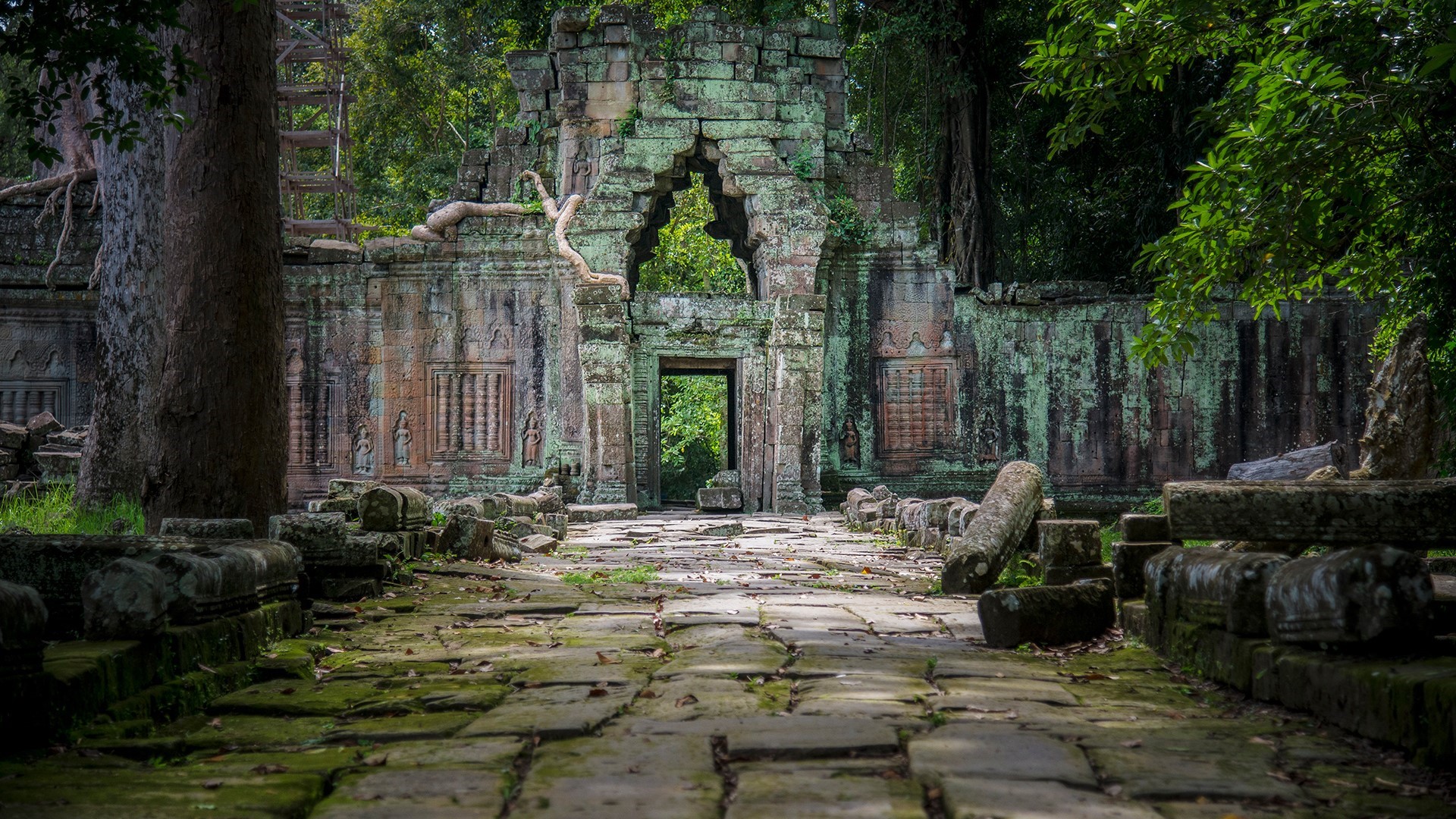 Ancient moss-covered temple ruins with a stone walkway HD Wallpaper