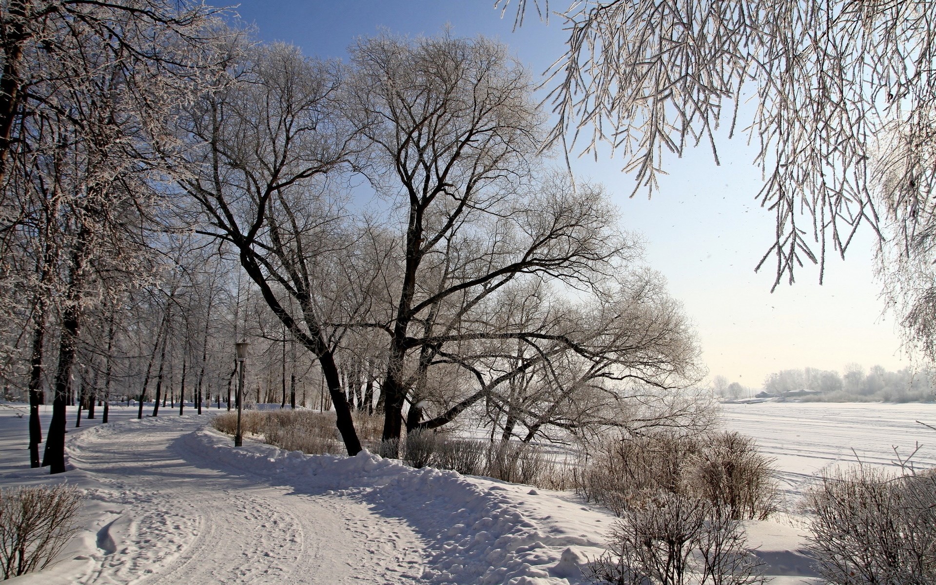 Snowy park path with frosted trees and frozen river HD Wallpaper
