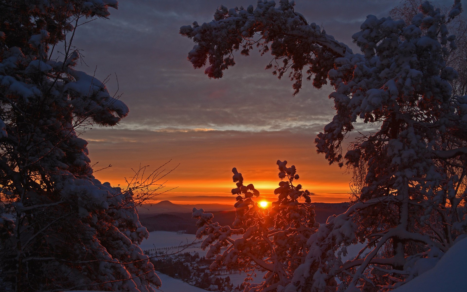 Snowy trees framing a vibrant winter sunrise HD Wallpaper