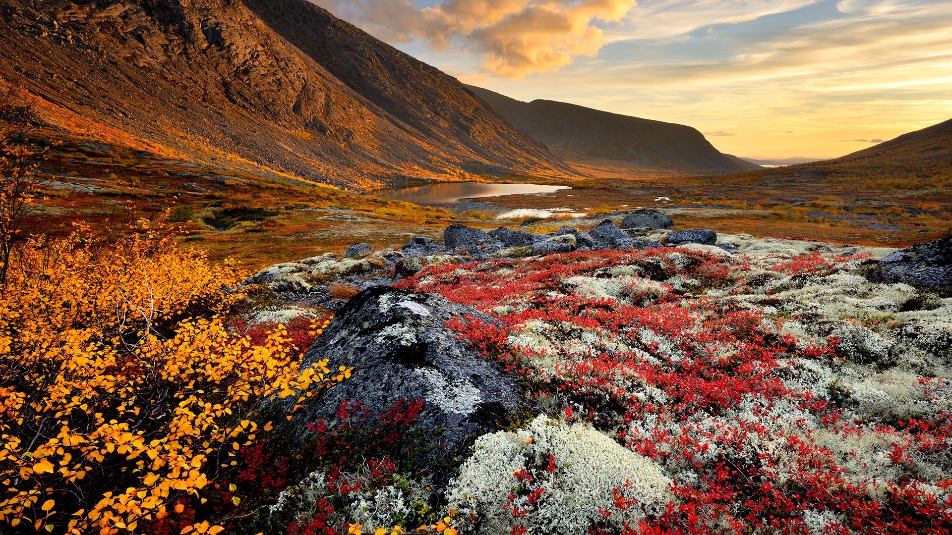 Autumn tundra landscape with mountains and lake HD Wallpaper