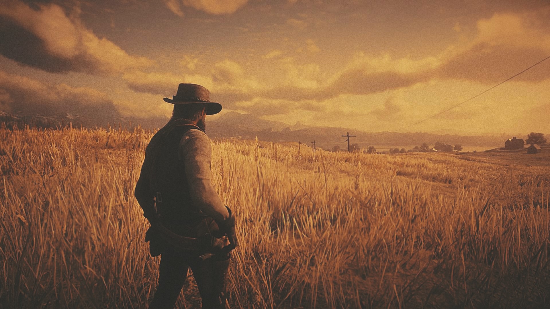Man in hat in field, Red Dead Redemption 2 HD Wallpaper