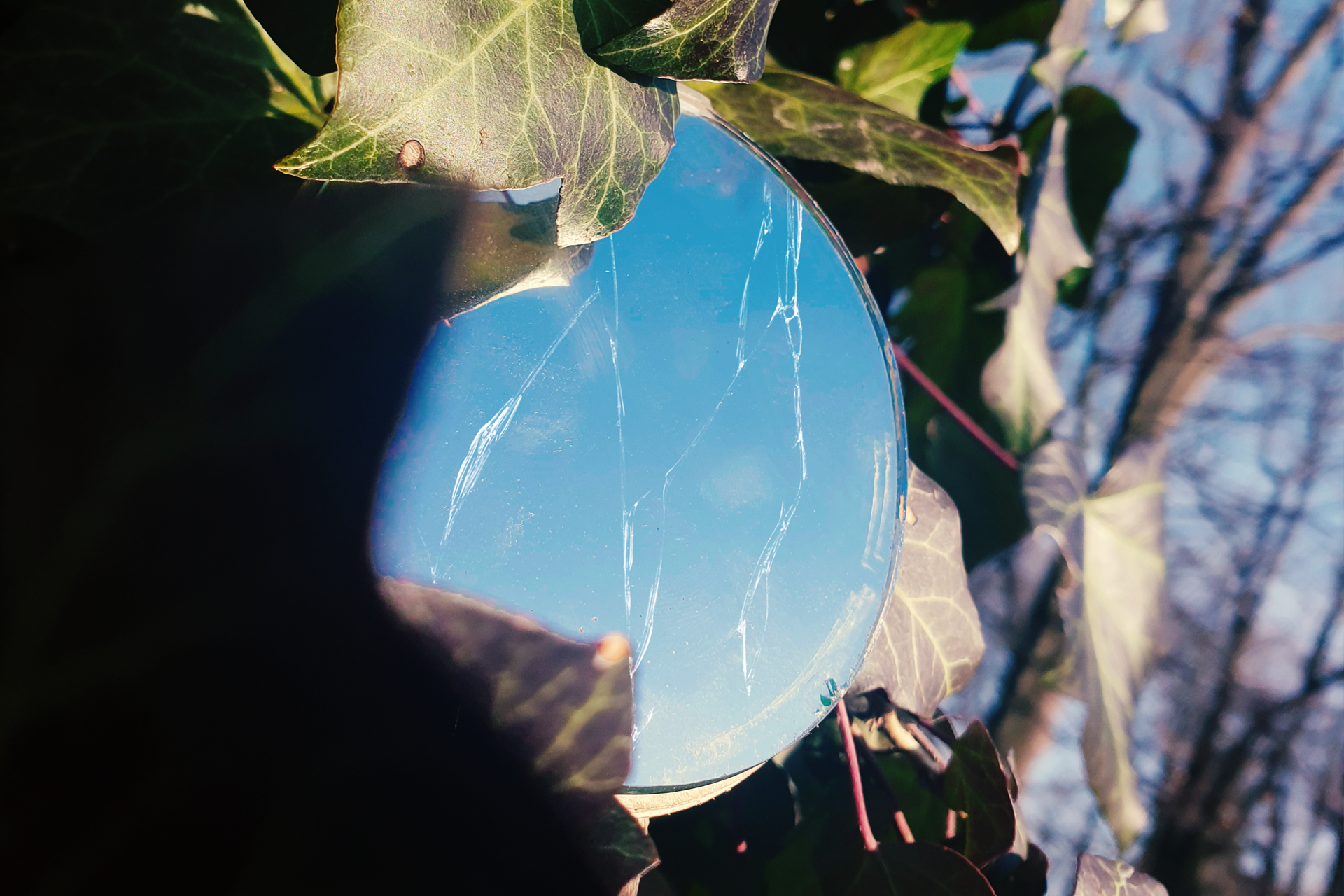 Broken mirror reflecting blue sky among ivy leaves HD Wallpaper
