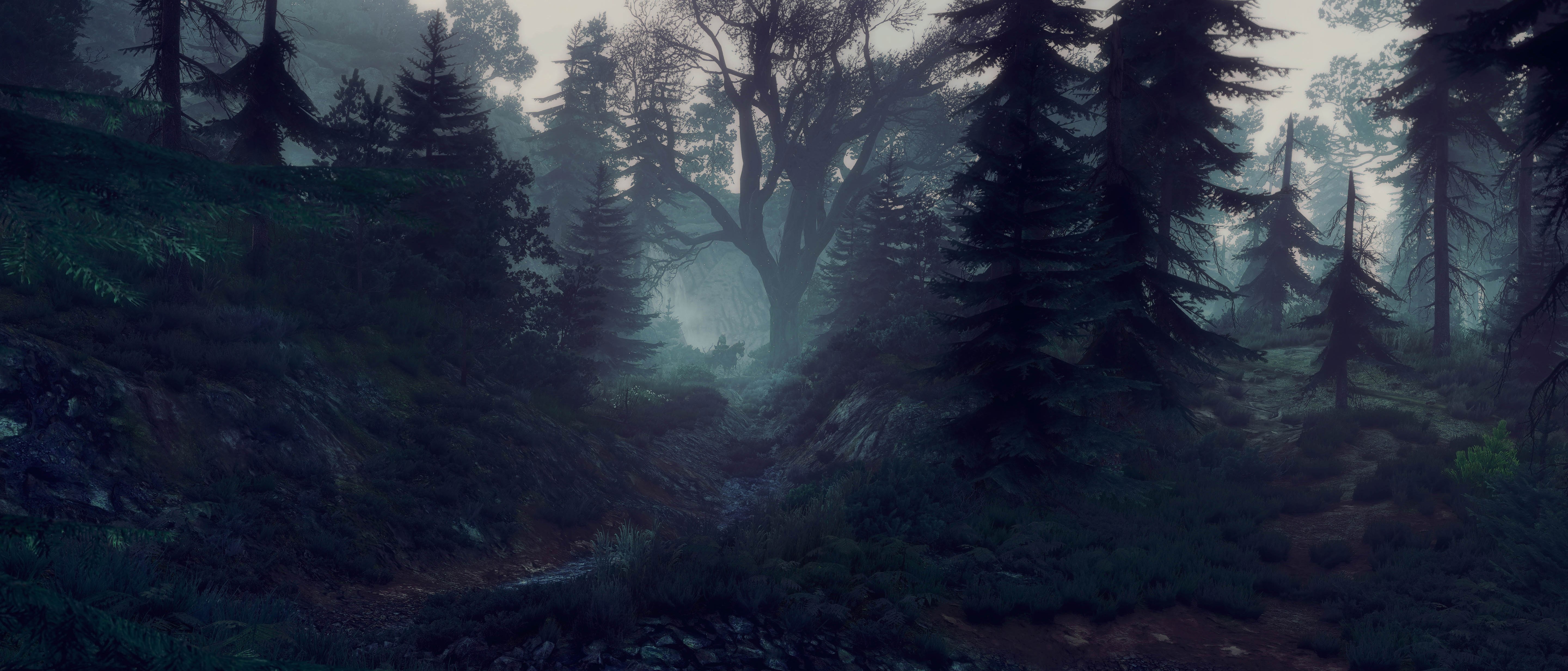 4K landscape from The Witcher 3: Wild Hunt HD Wallpaper