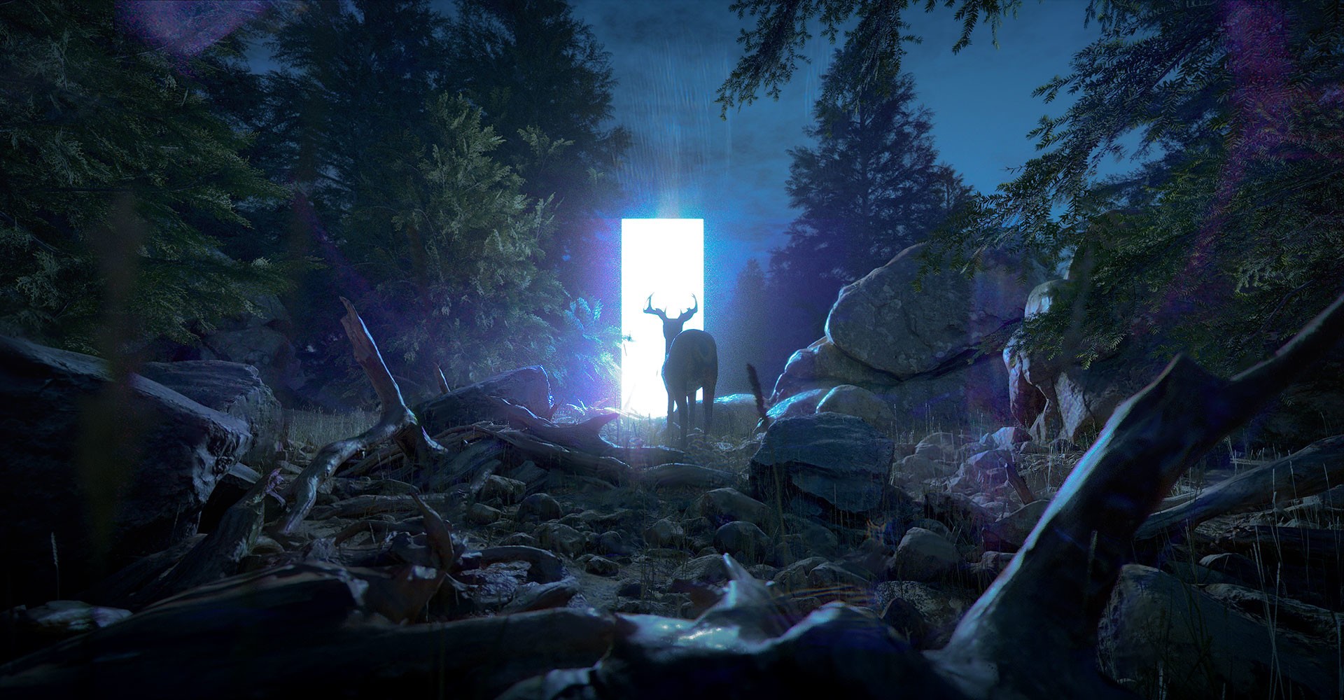 Deer approaches glowing portal in forest at night HD Wallpaper