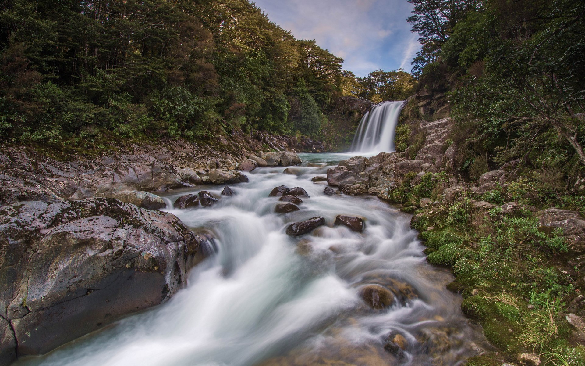 Waterfall and river flowing through a forest HD Wallpaper