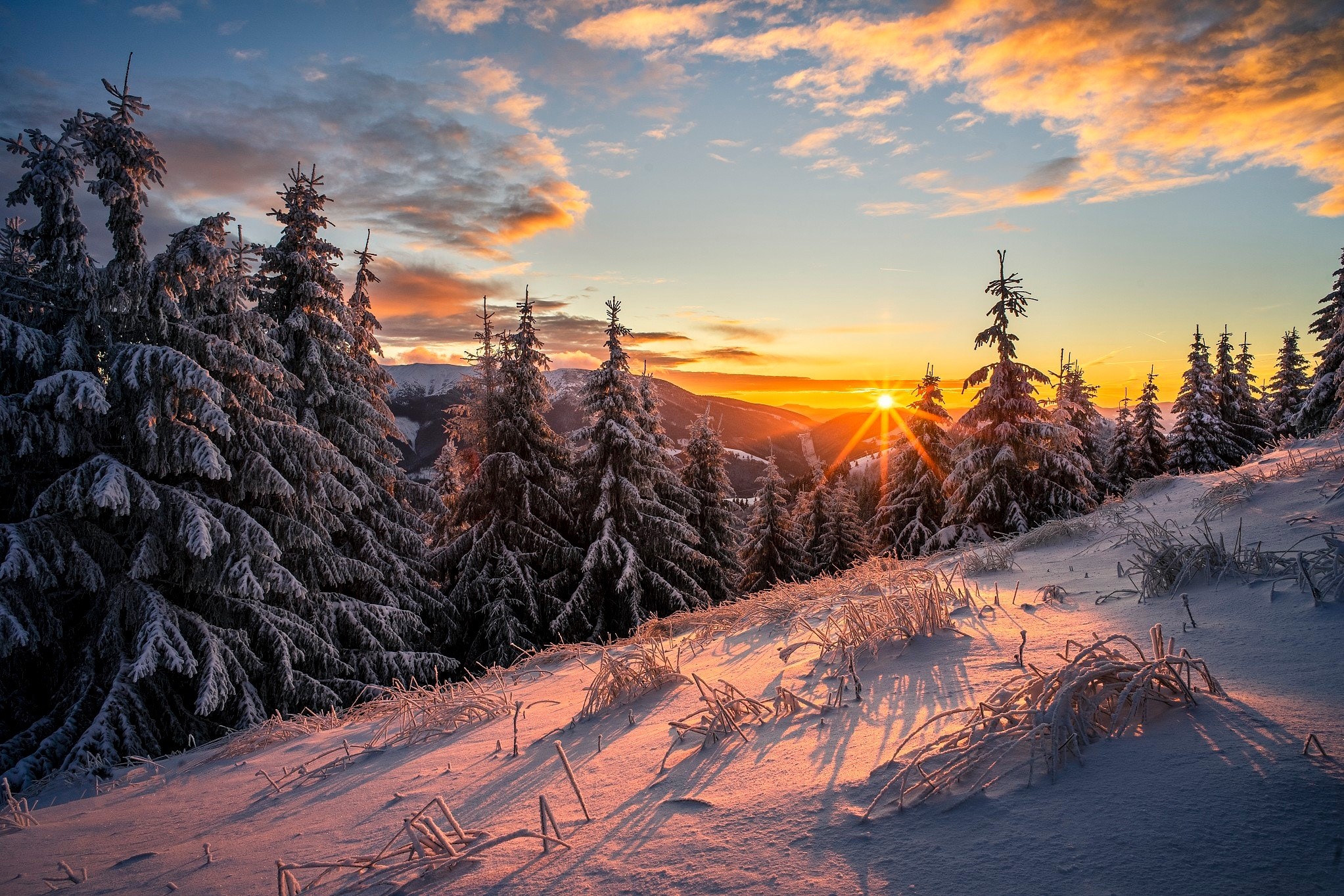 Winter sunrise over snow-covered trees in mountains HD Wallpaper