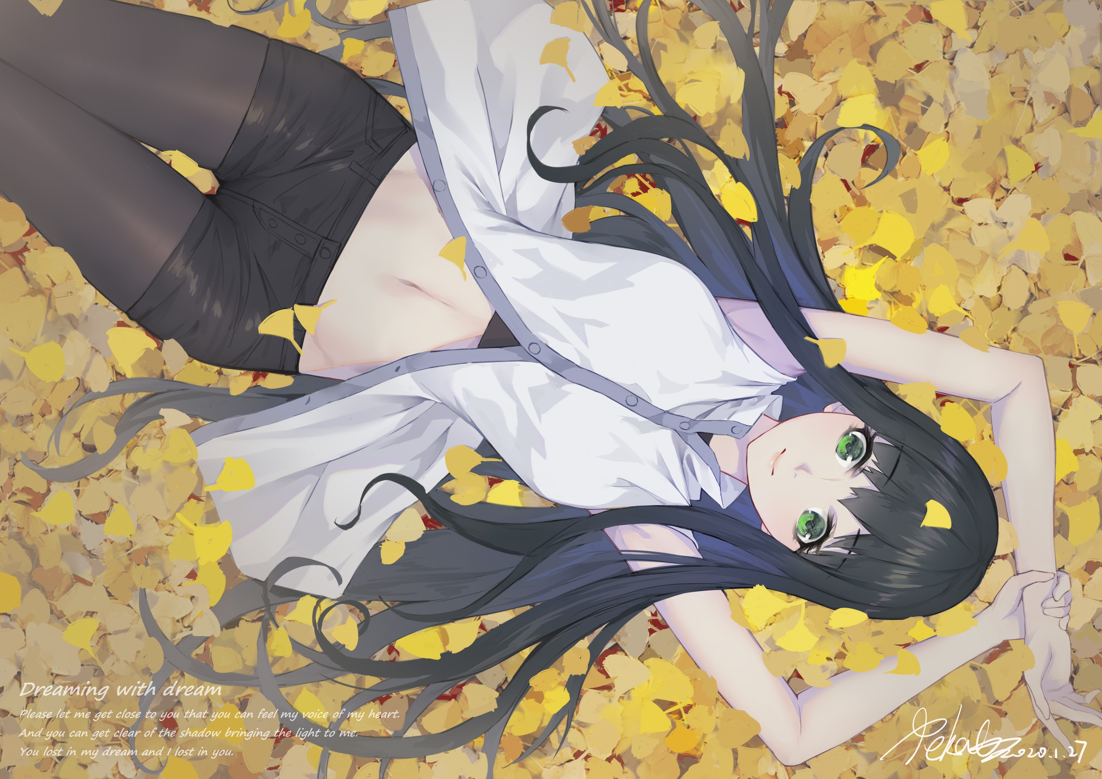 Girl with black hair and green eyes lying on autumn leaves HD Wallpaper