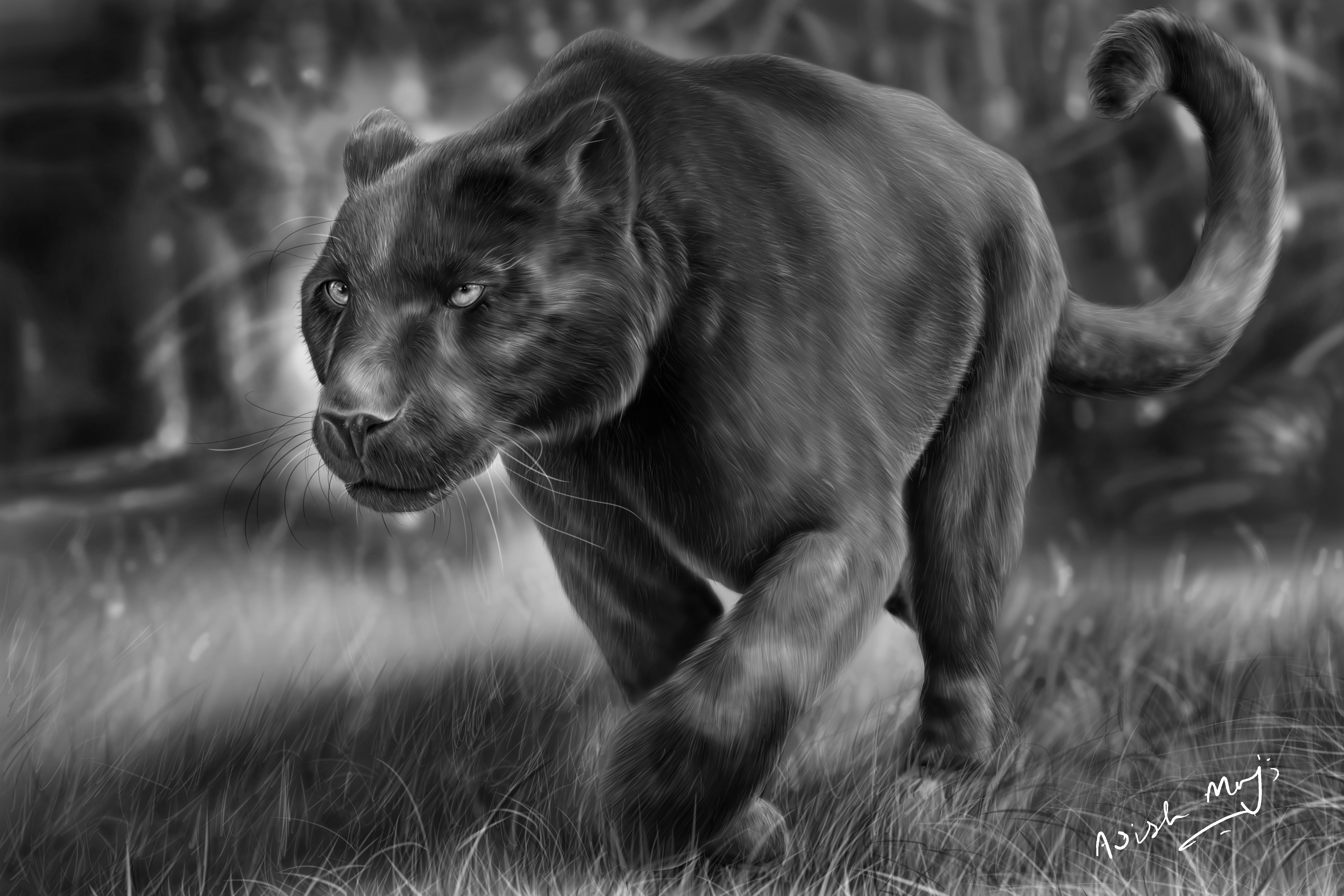 Black Panther artwork in a forest HD Wallpaper