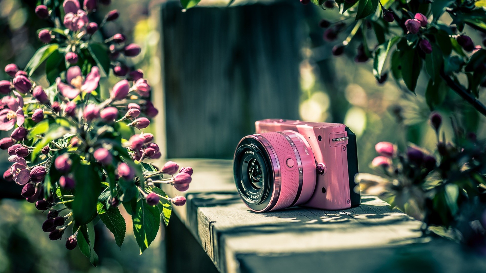Pink camera on a wooden surface with flowers HD Wallpaper