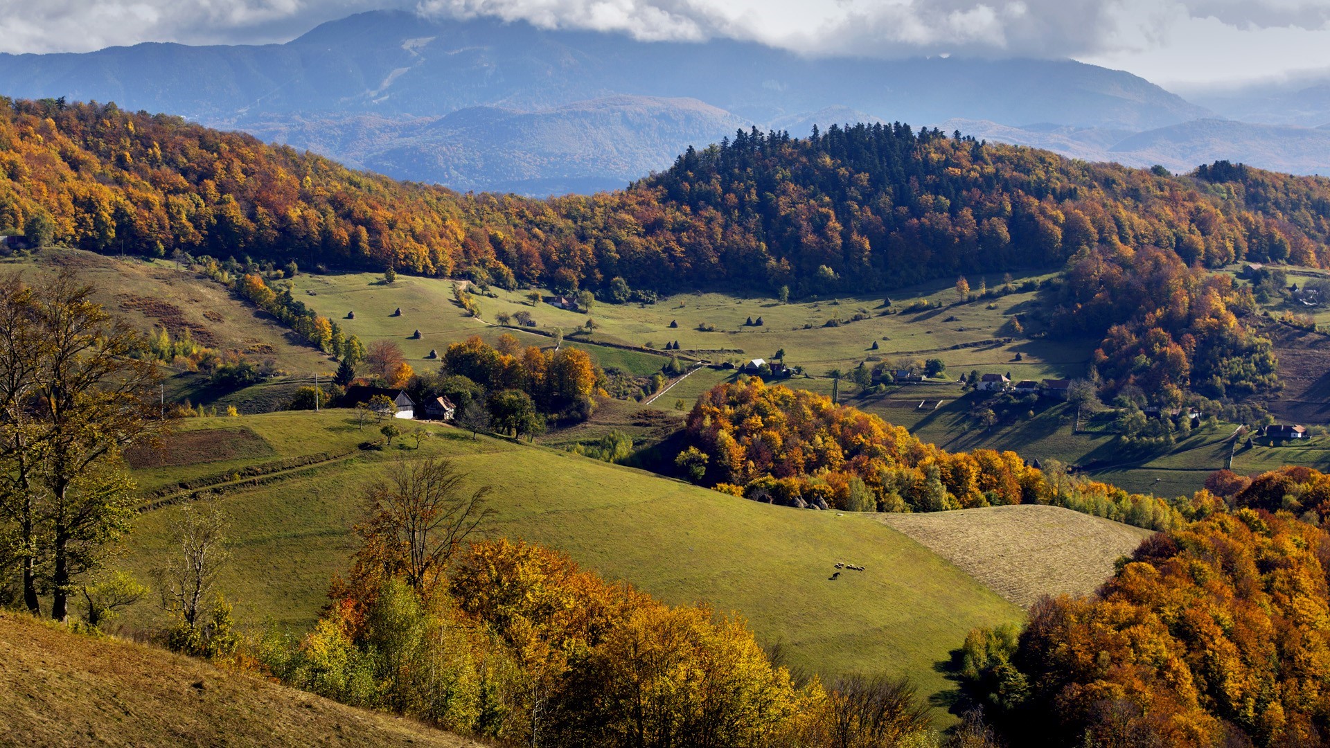 Autumn landscape with rolling hills and forests in Romania HD Wallpaper
