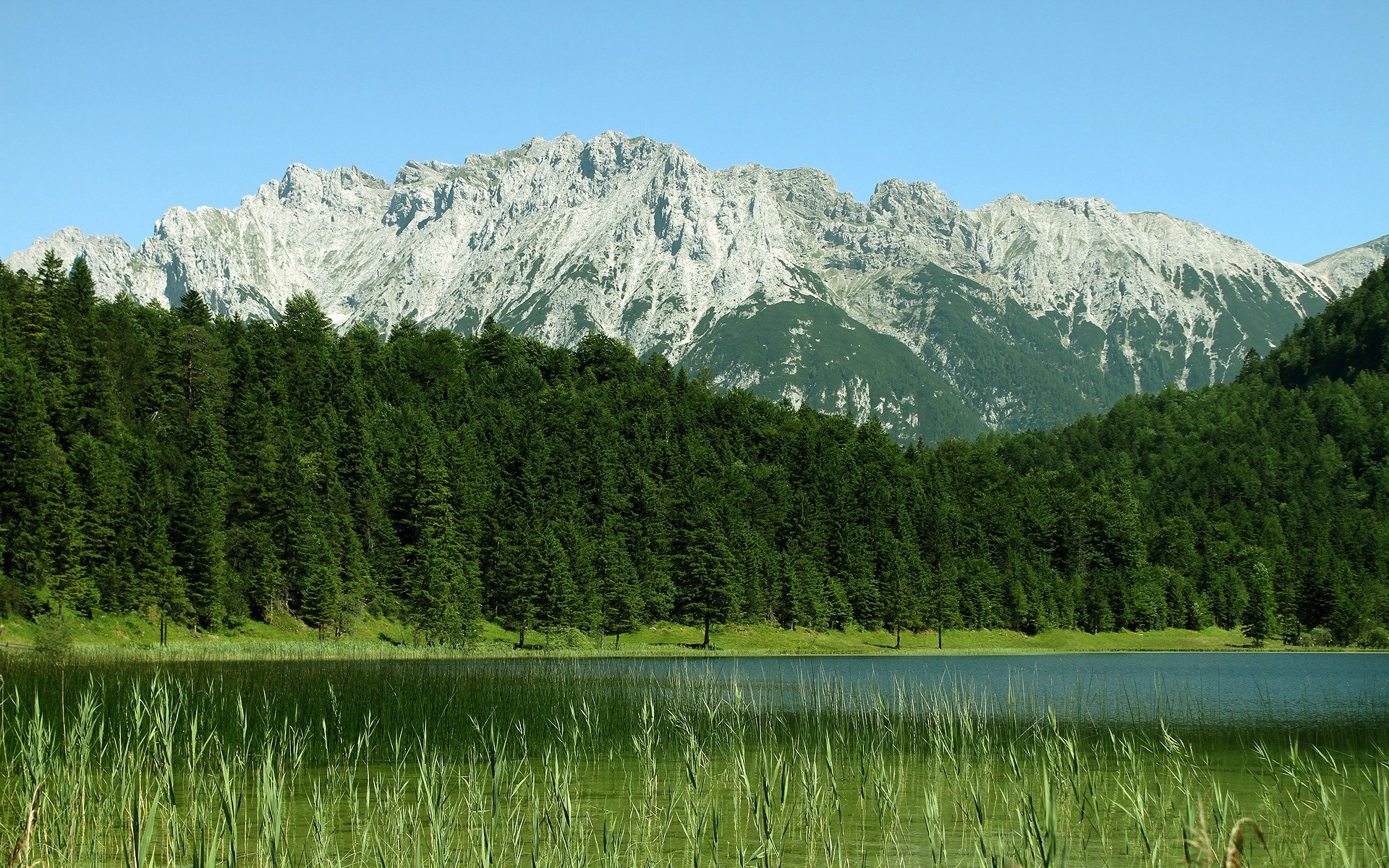 Lake with forest and mountains HD Wallpaper