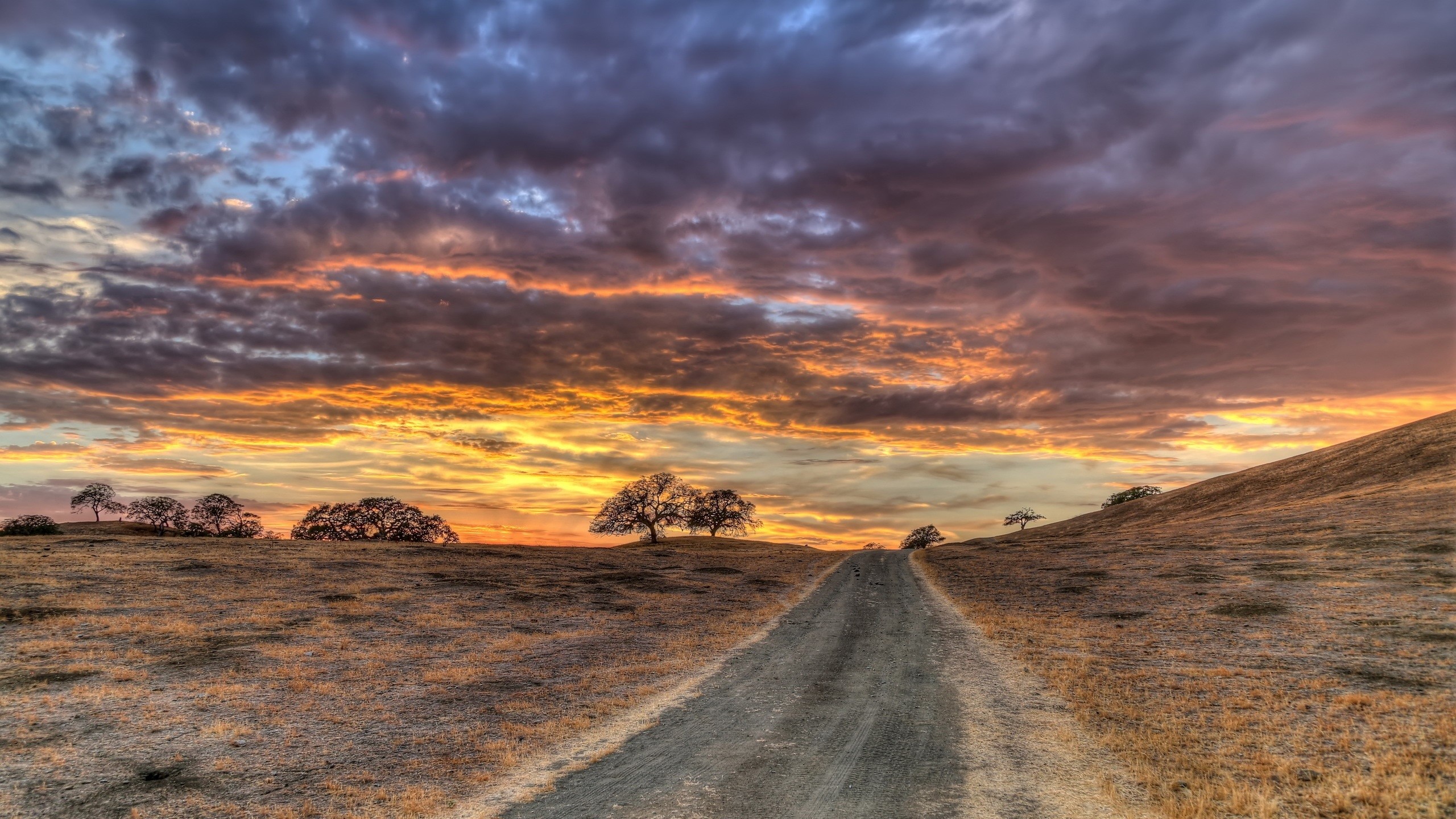 Dirt road through rolling hills at sunset HD Wallpaper